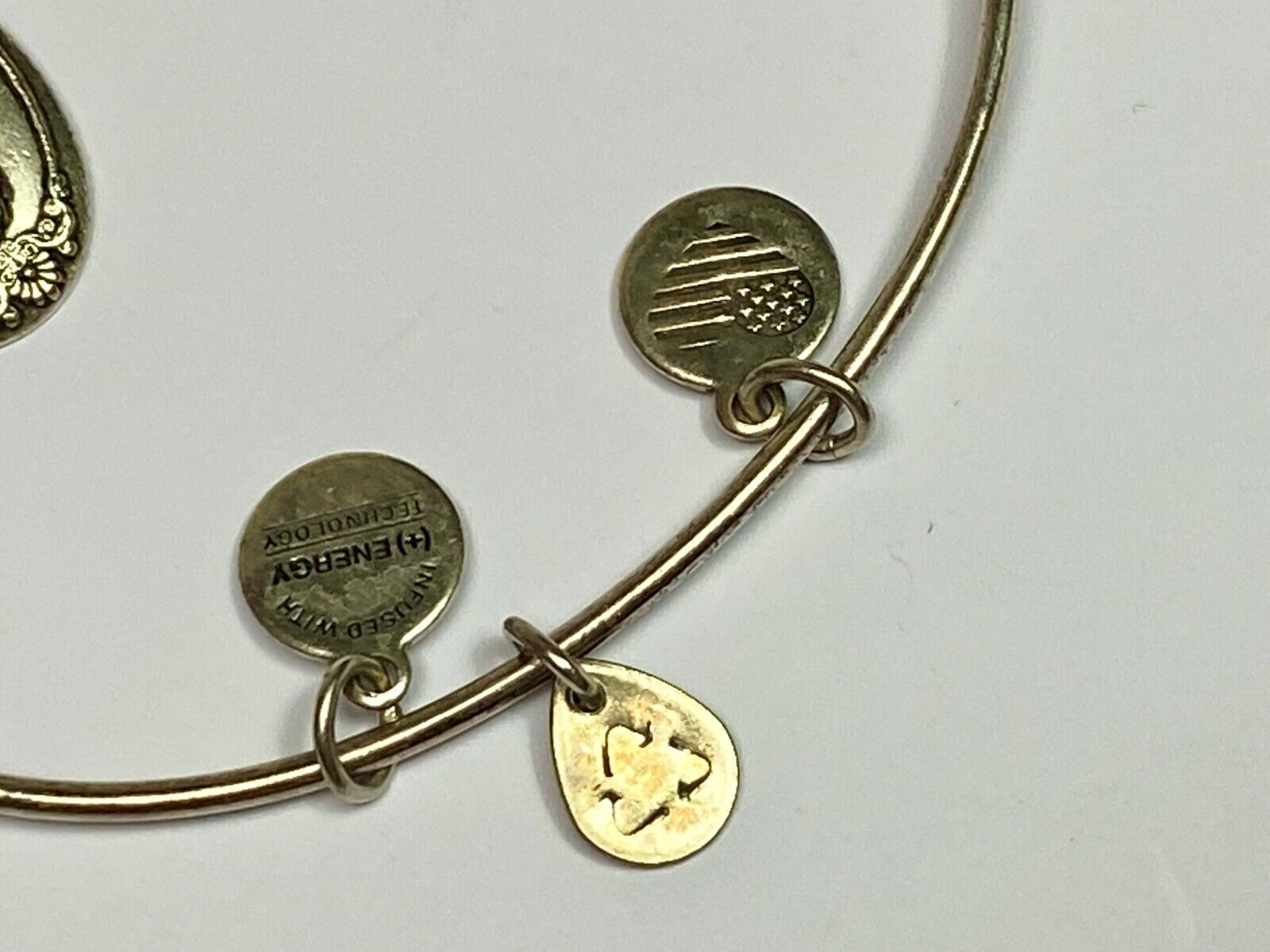 Alex And Ani Pineapple 2016 Charm Bracelet Bangle Warmth Welcome Friendship
