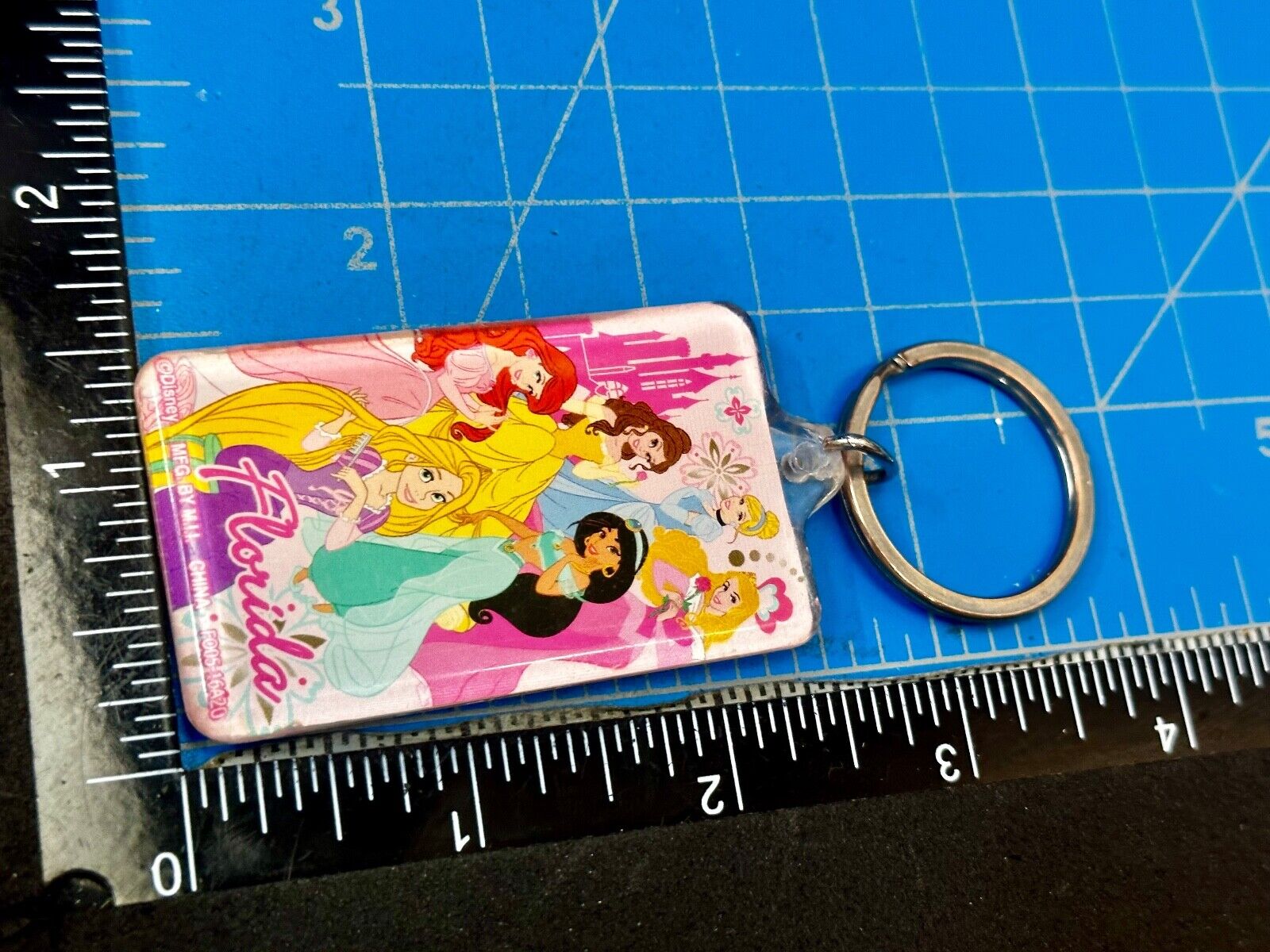 All the Princesses of Disney and Florida!  Souvenir Keychain, Key Chain Ring