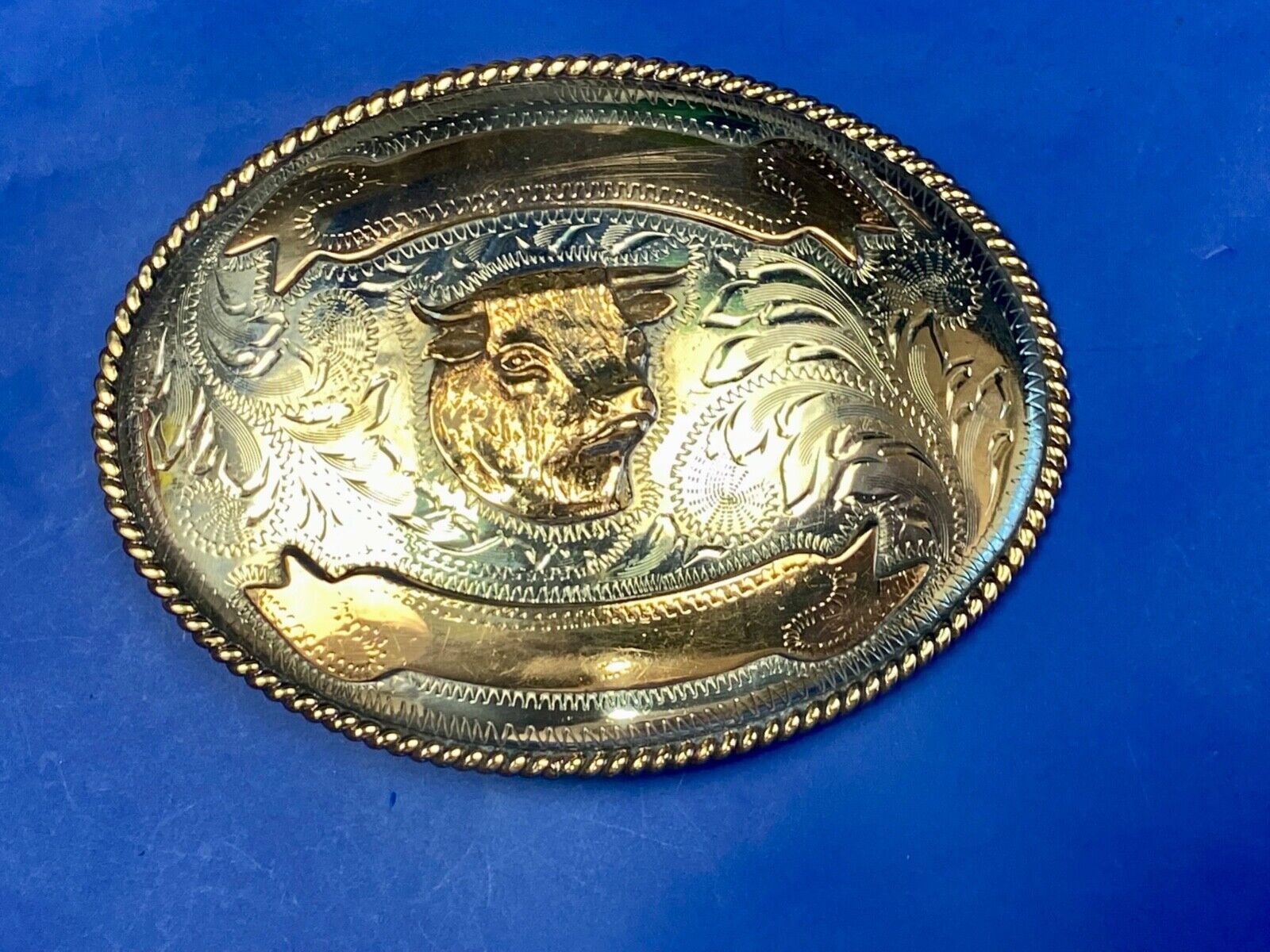 Unique Cow Steer Head Cow Trophy Award Stamped Alpaca Mexico W/ Blank Scroll