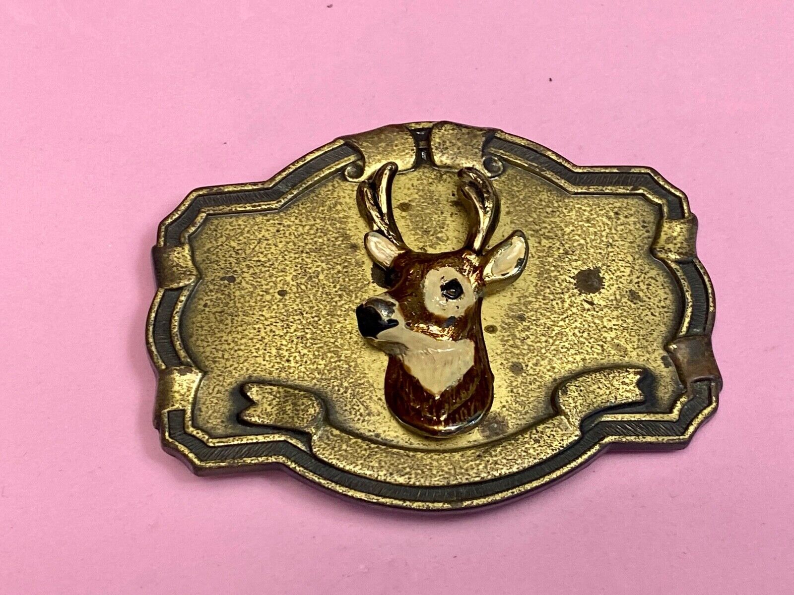 Vintage DEER Head Bust on wall!   in western framed belt buckle 