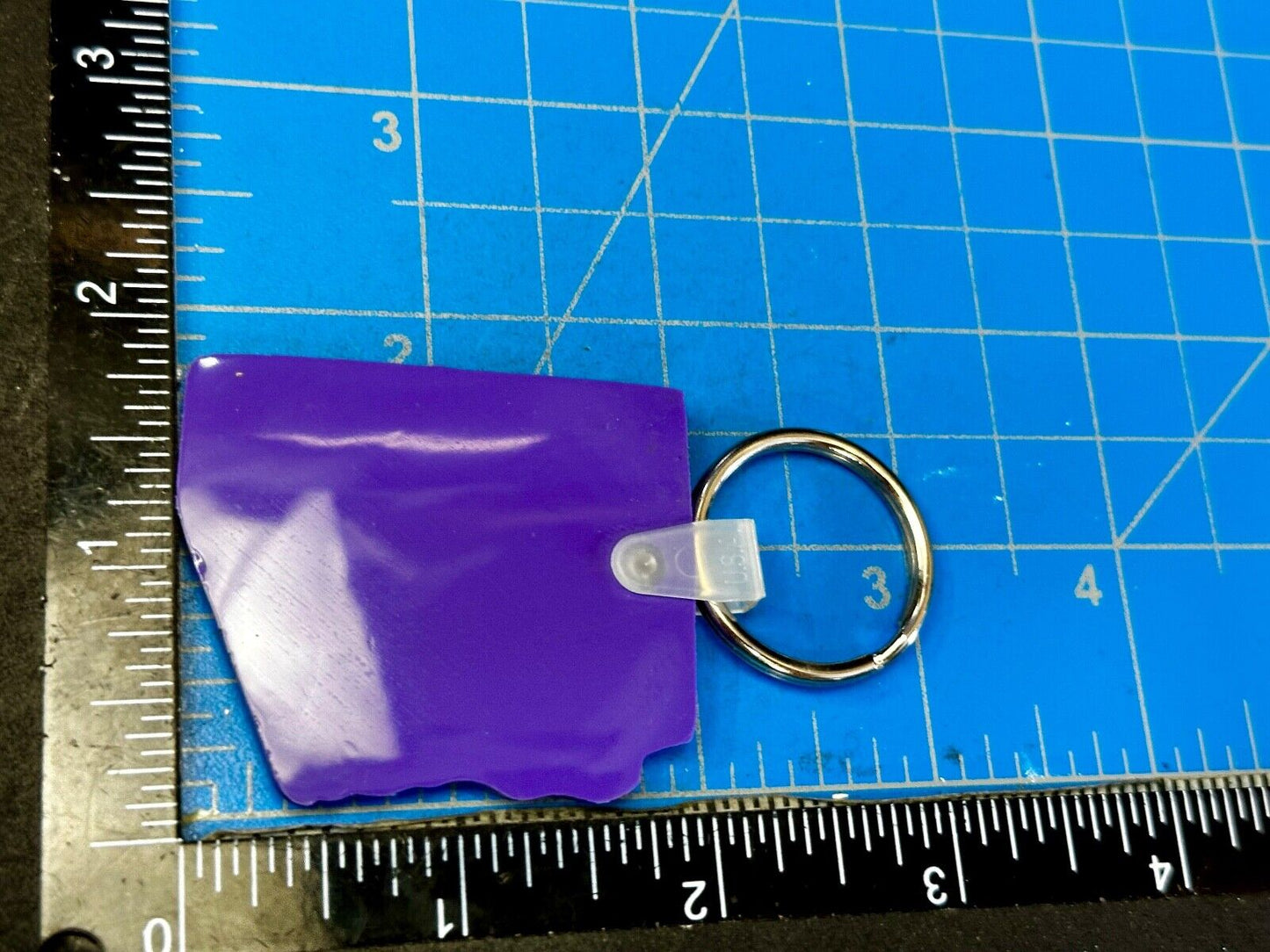 Arizona State Fair Purple Souvenir Keychain Key Ring Chain