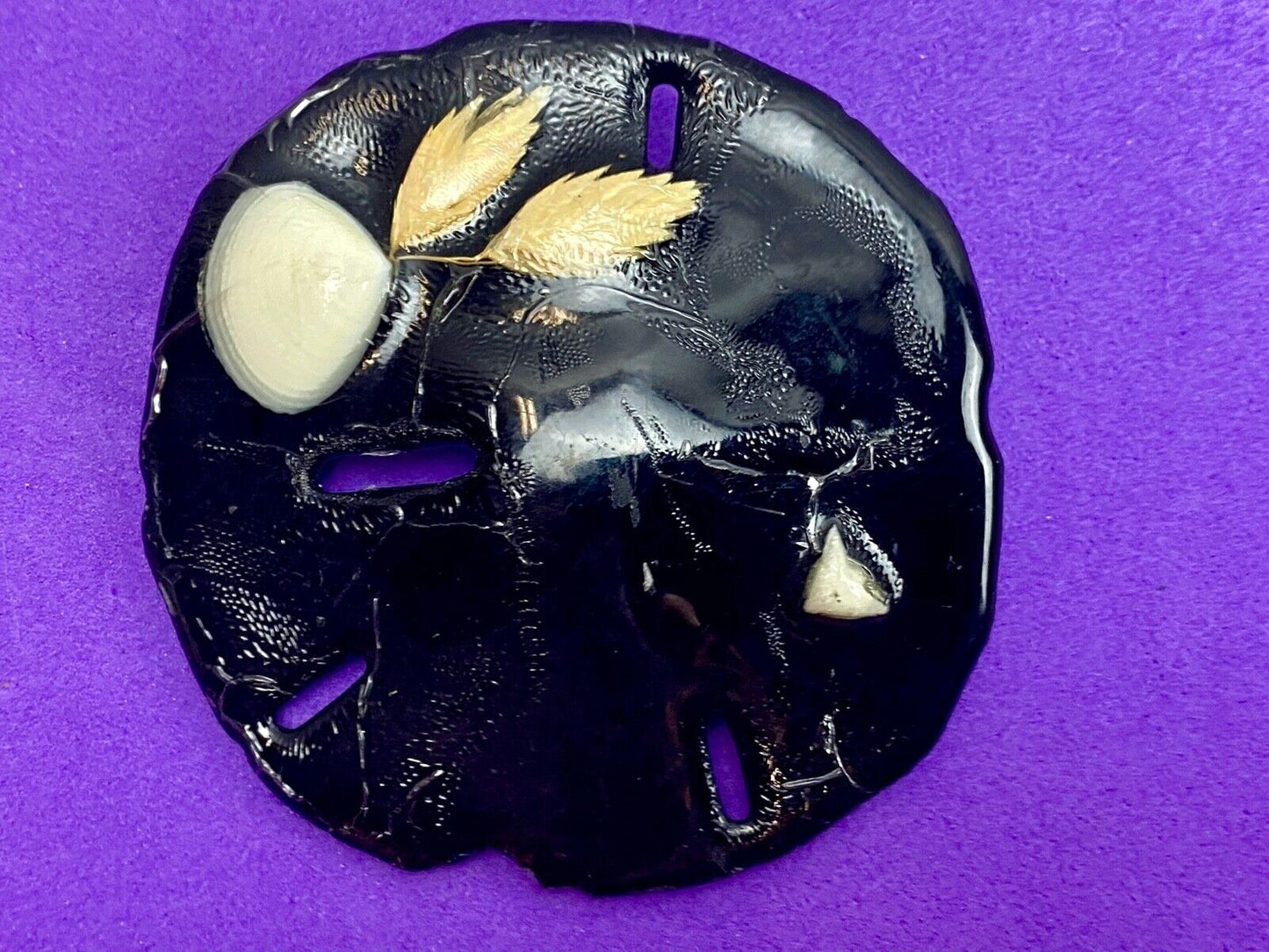 Artisan Black Sand Dollar Ocean Theme Shell belt buckle 