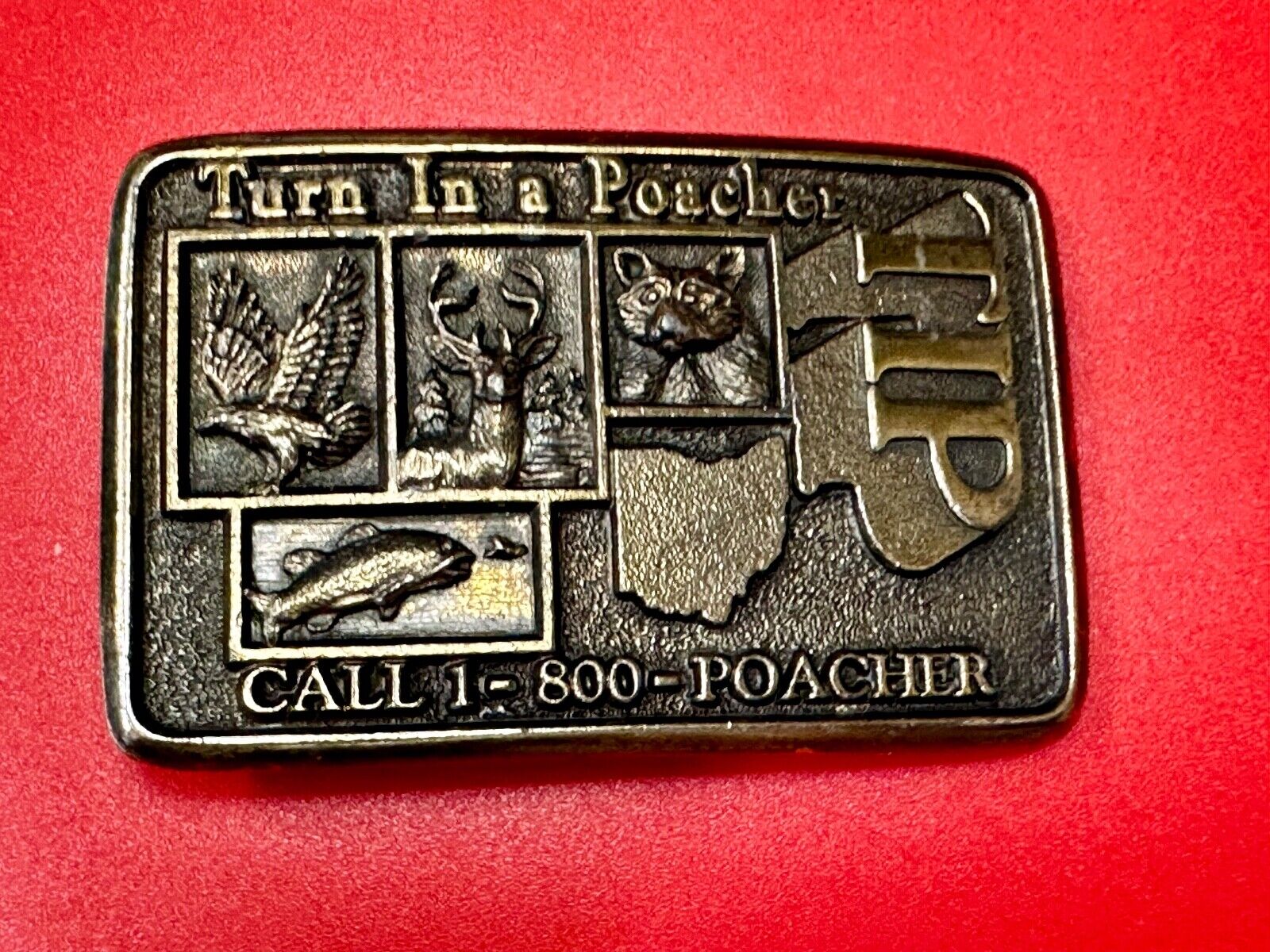 Turn in a Poacher Enjoy wildlife tomorrow TIP line hunting RARE belt buckle