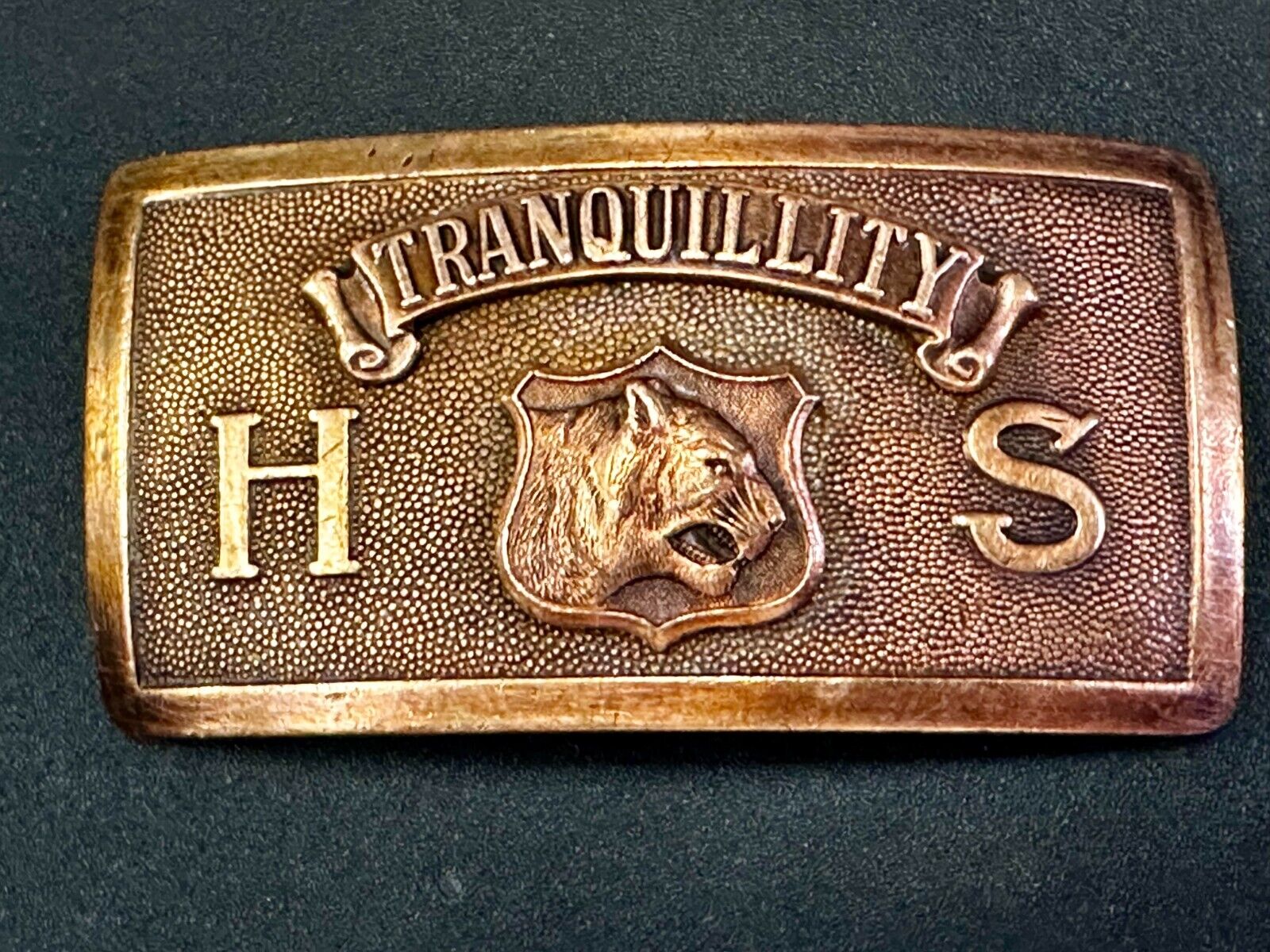 Tranquility High School Logo Seal Belt Buckle Invisible Made in USA