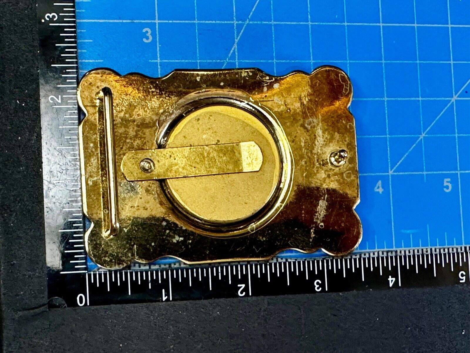 Two horse head picture (Or Your Morgan Silver Dollar!) western Belt Buckle