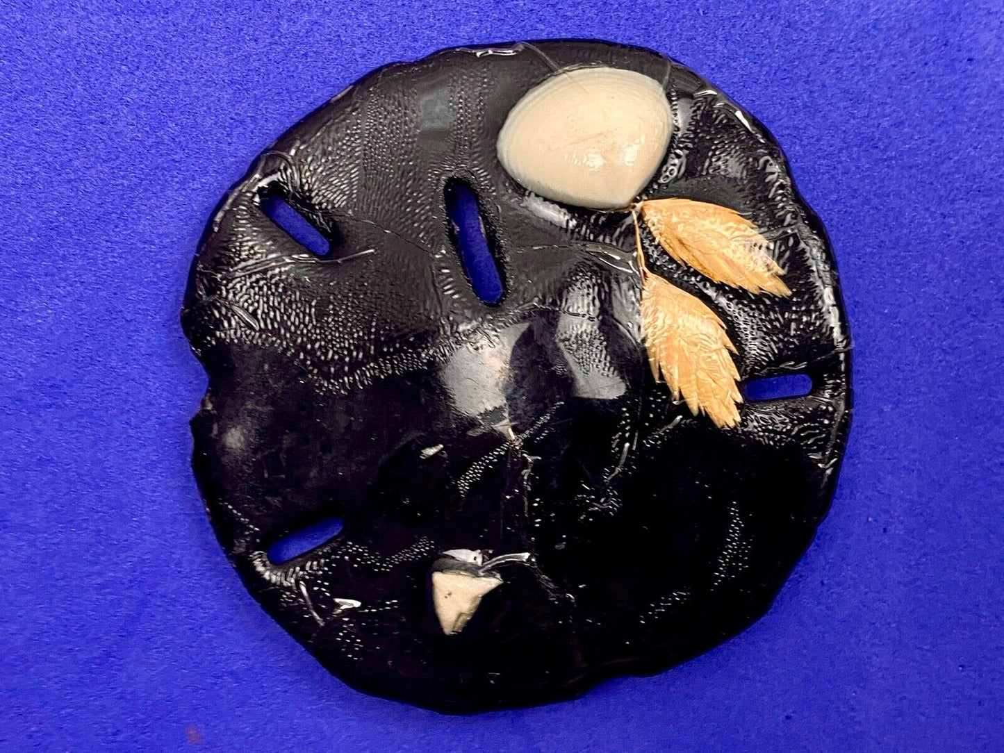 Artisan Black Sand Dollar Ocean Theme Shell belt buckle 