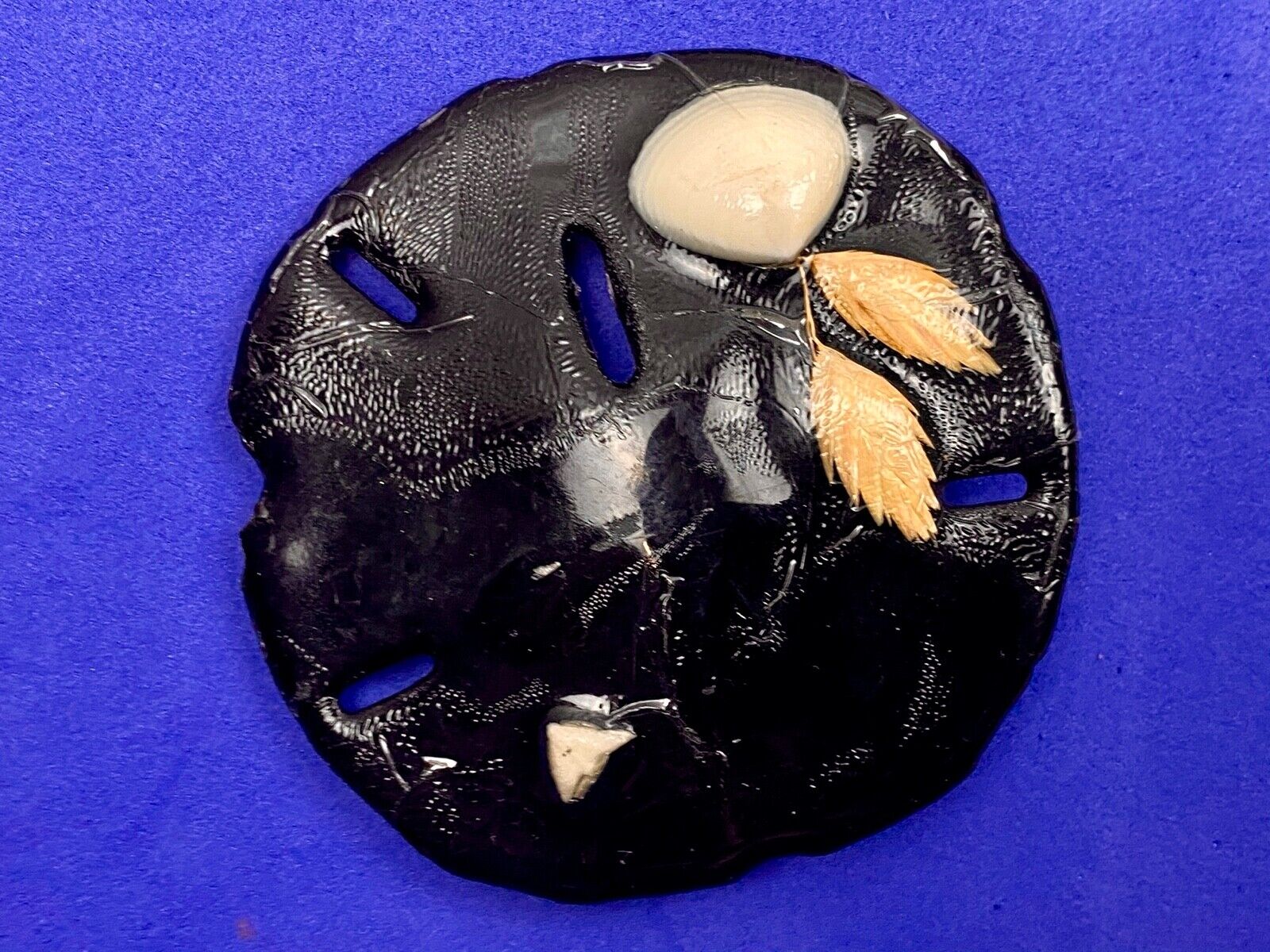 Artisan Black Sand Dollar Ocean Theme Shell belt buckle 