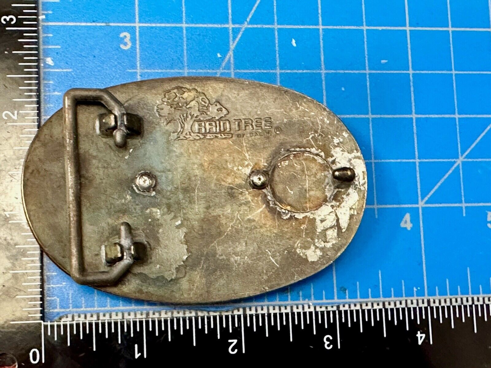 Vintage Fish Fishermans Gift! Retro RainTree Belt Buckle