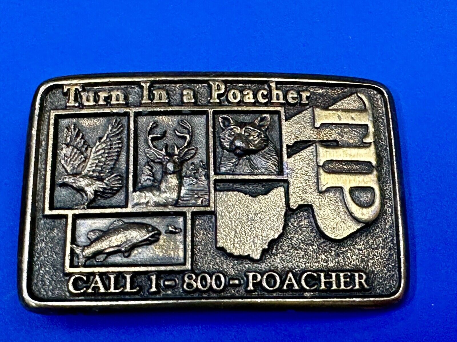 Turn in a Poacher Enjoy wildlife tomorrow TIP line hunting RARE belt buckle