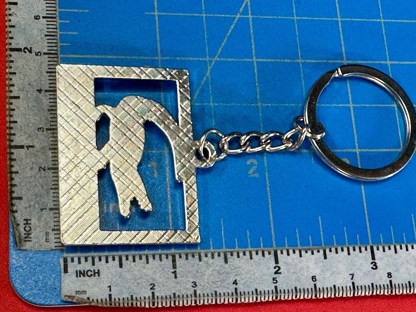 Alligator, Florida,  The Sunshine State souvenir Keychain - Key Ring Chain