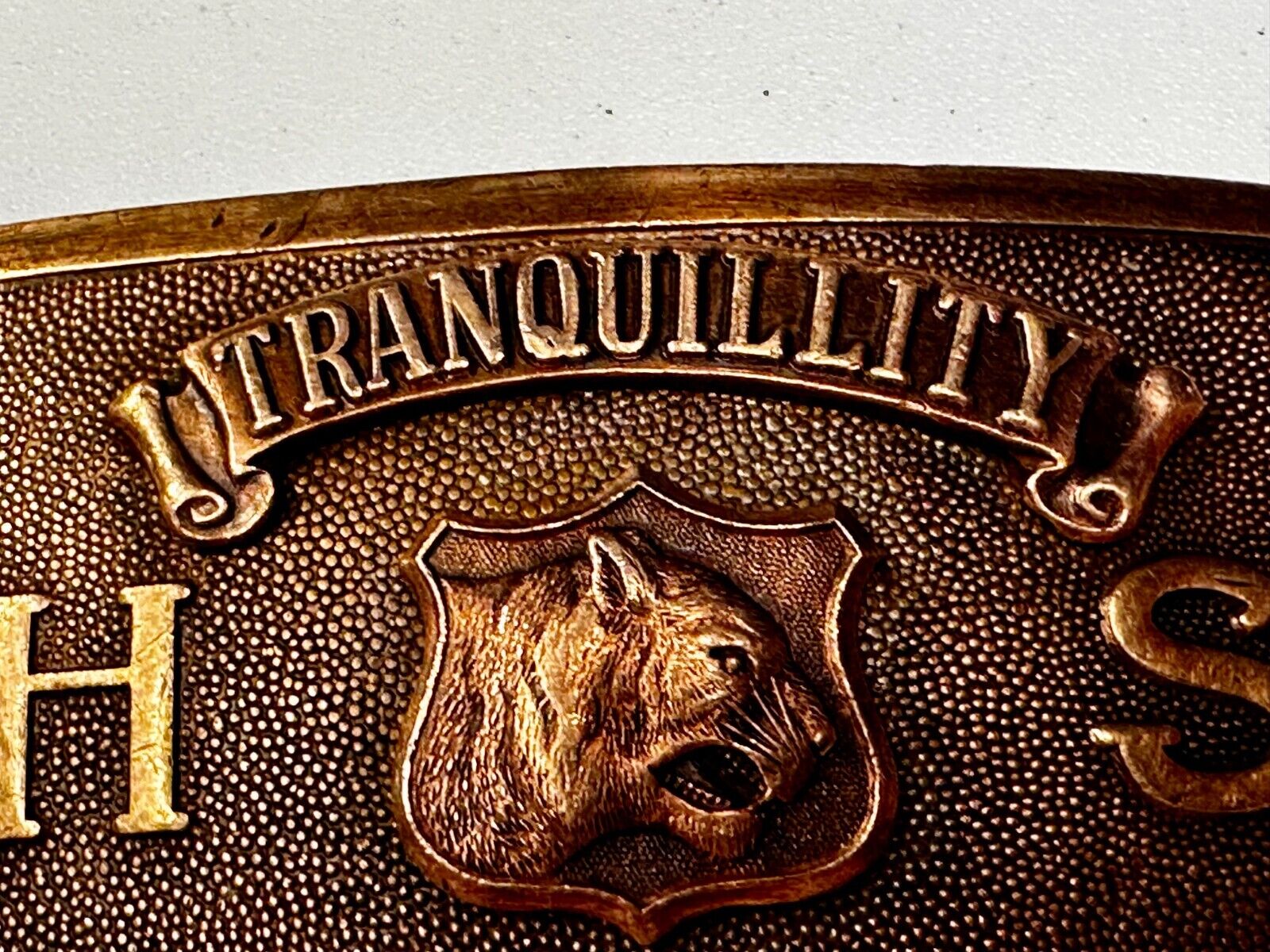 Tranquility High School Logo Seal Belt Buckle Invisible Made in USA