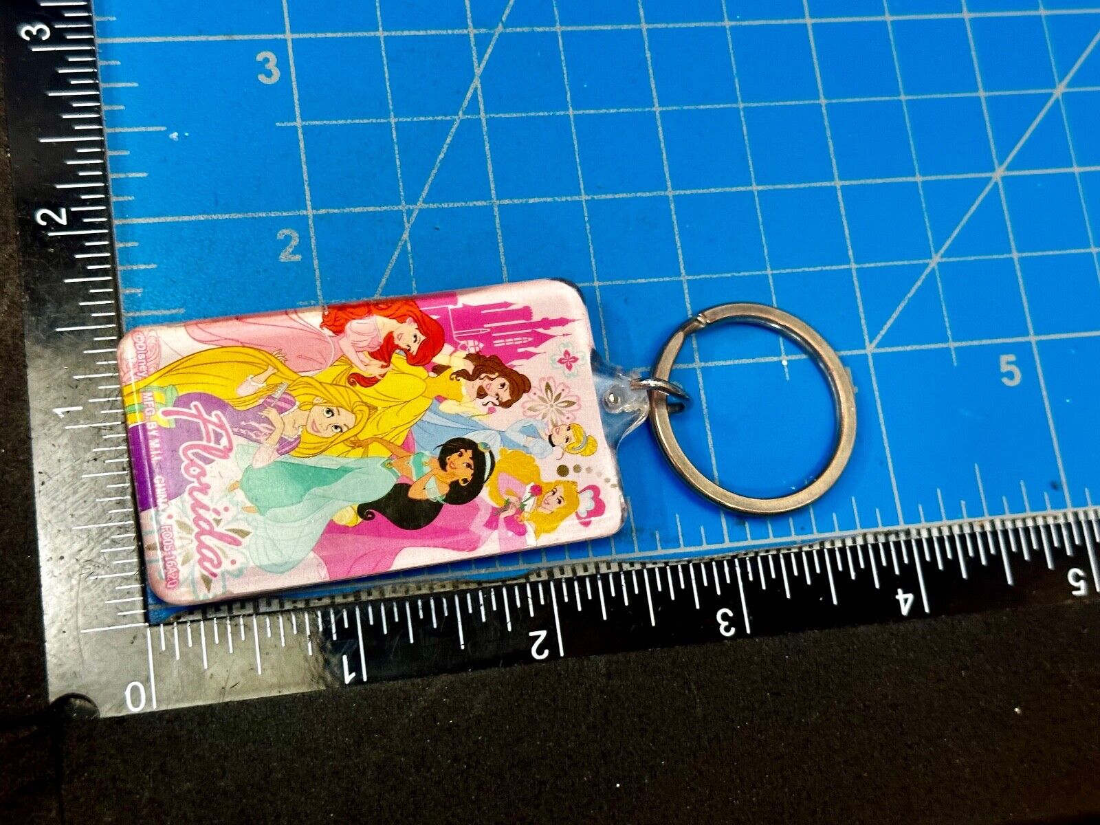 All the Princesses of Disney and Florida!  Souvenir Keychain, Key Chain Ring