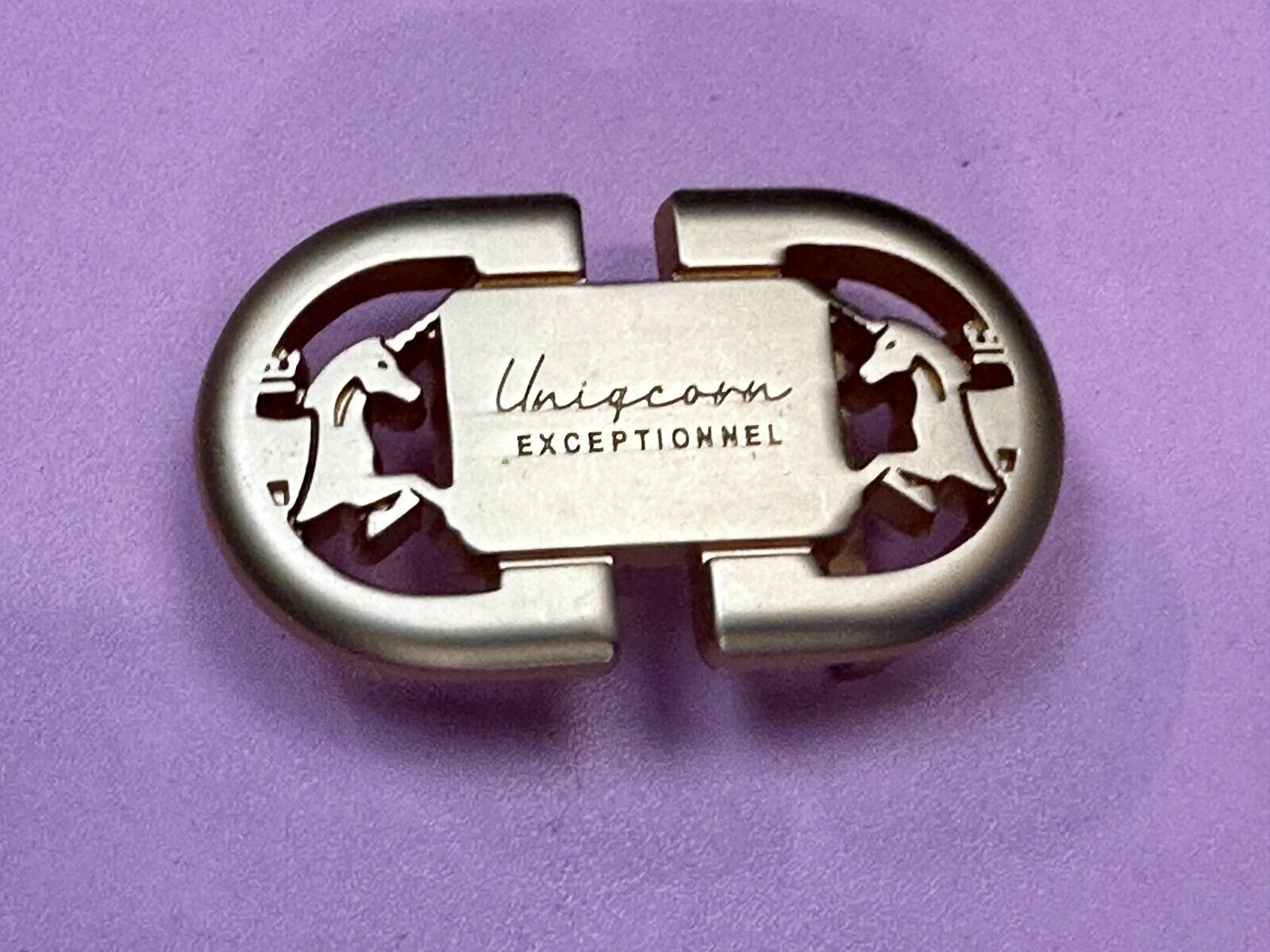 Uniqcorn Exceptionnel - Unknown to me!   unicorn's facing in cutout Belt Buckle