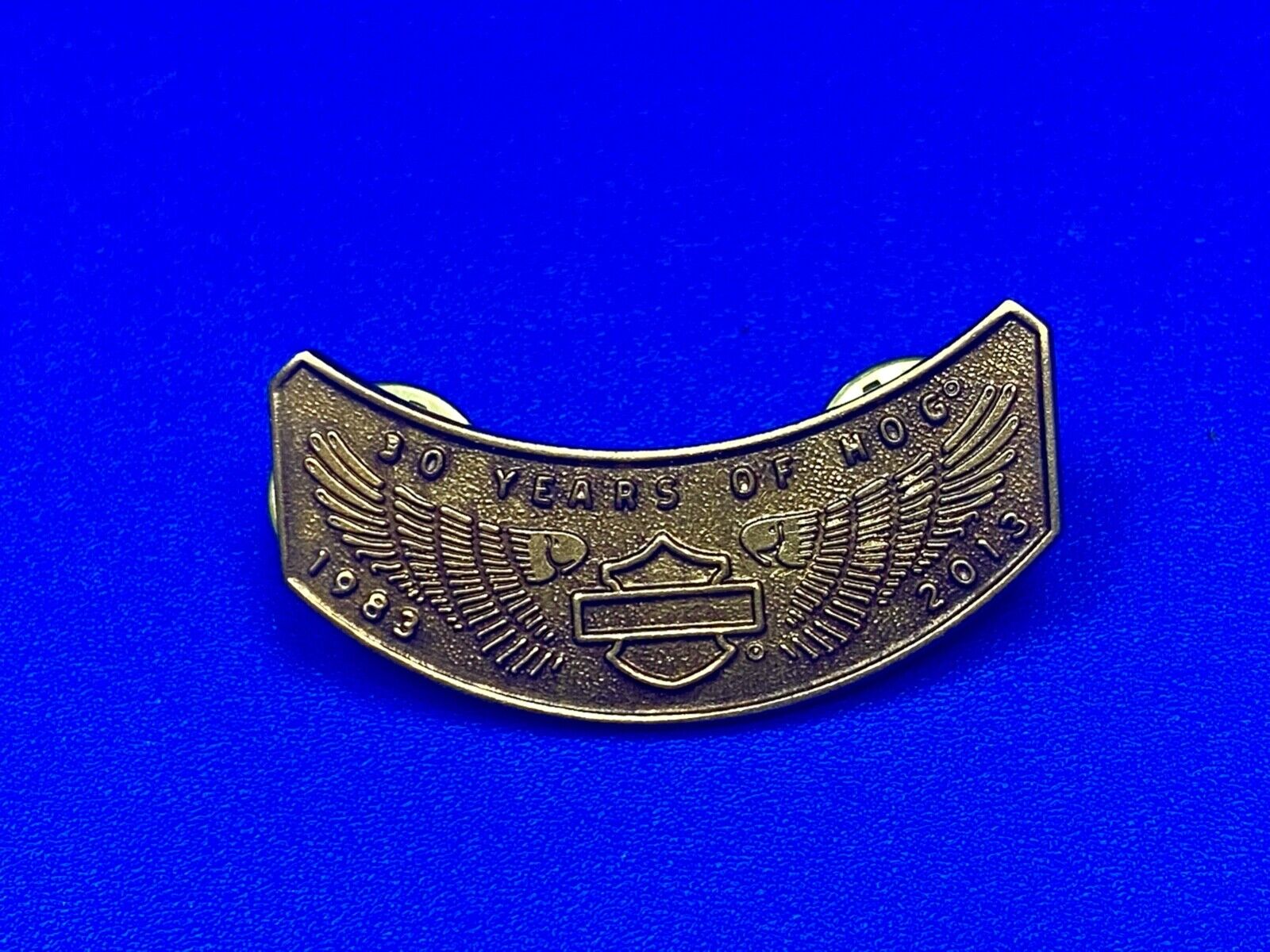 2013 Ten Years Of Hog Harley Davidson Owners Group Motorcycles Pin