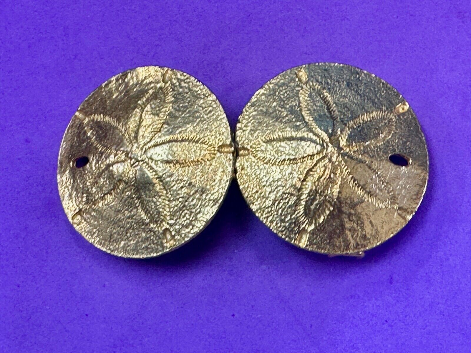 Two piece interconnecting Sand Dollars  vintage belt buckle by Mimi Di N
