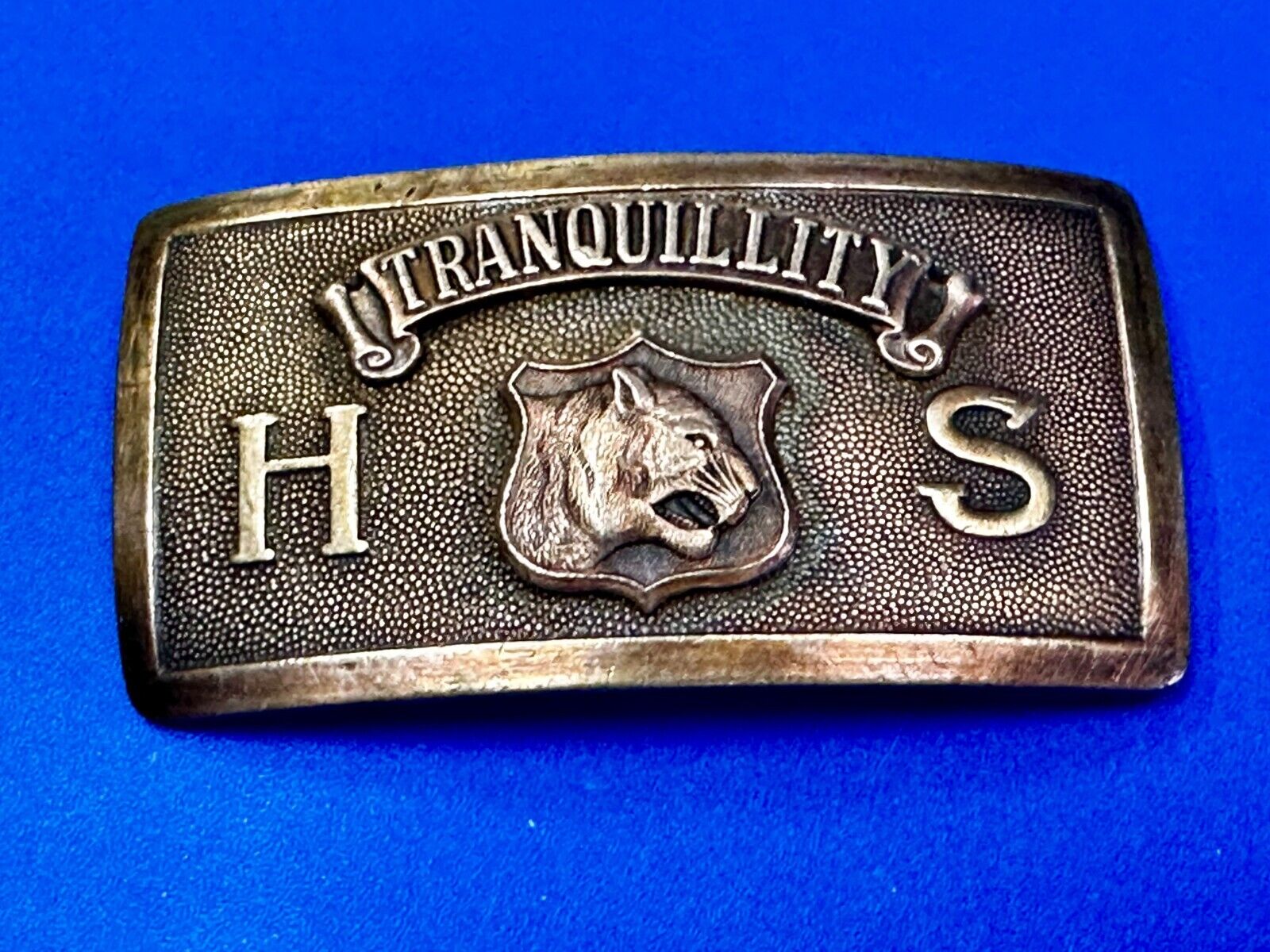 Tranquility High School Logo Seal Belt Buckle Invisible Made in USA
