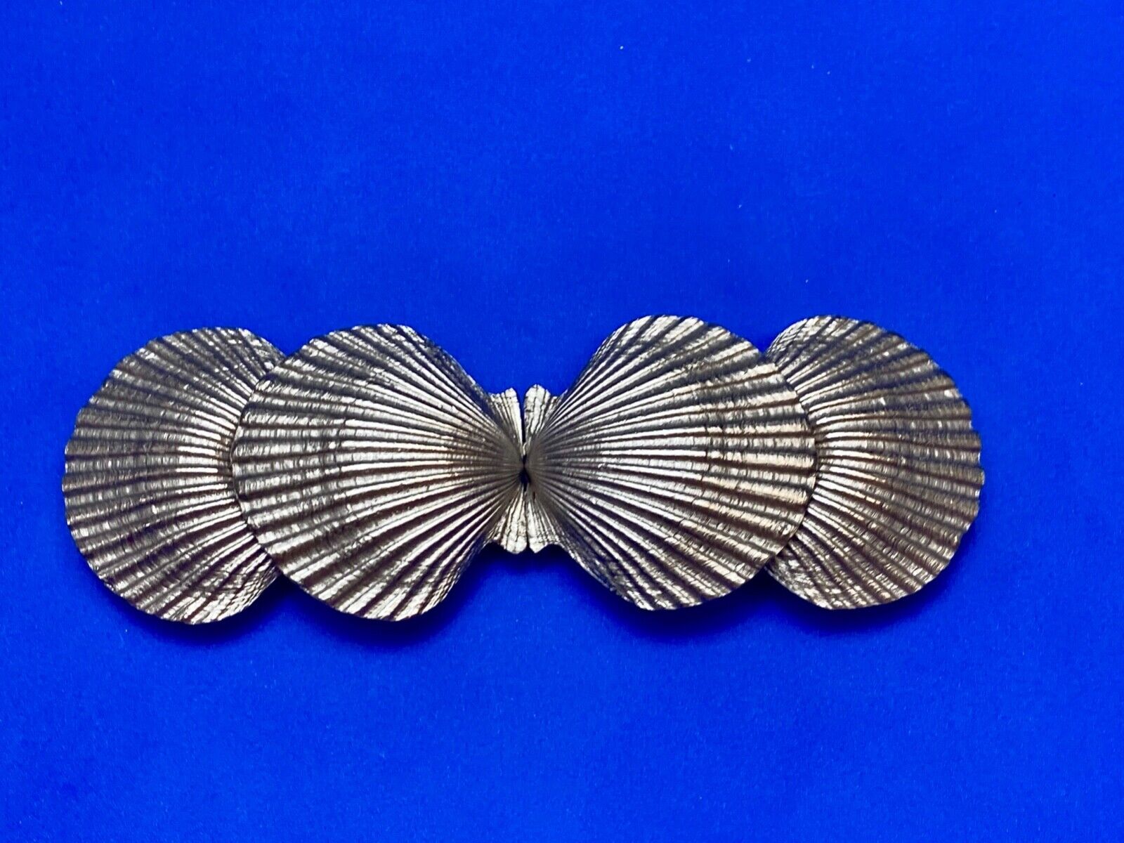 Two piece Interlocking silver color dual Clam SHELL belt buckle - DR Doreen Ryan