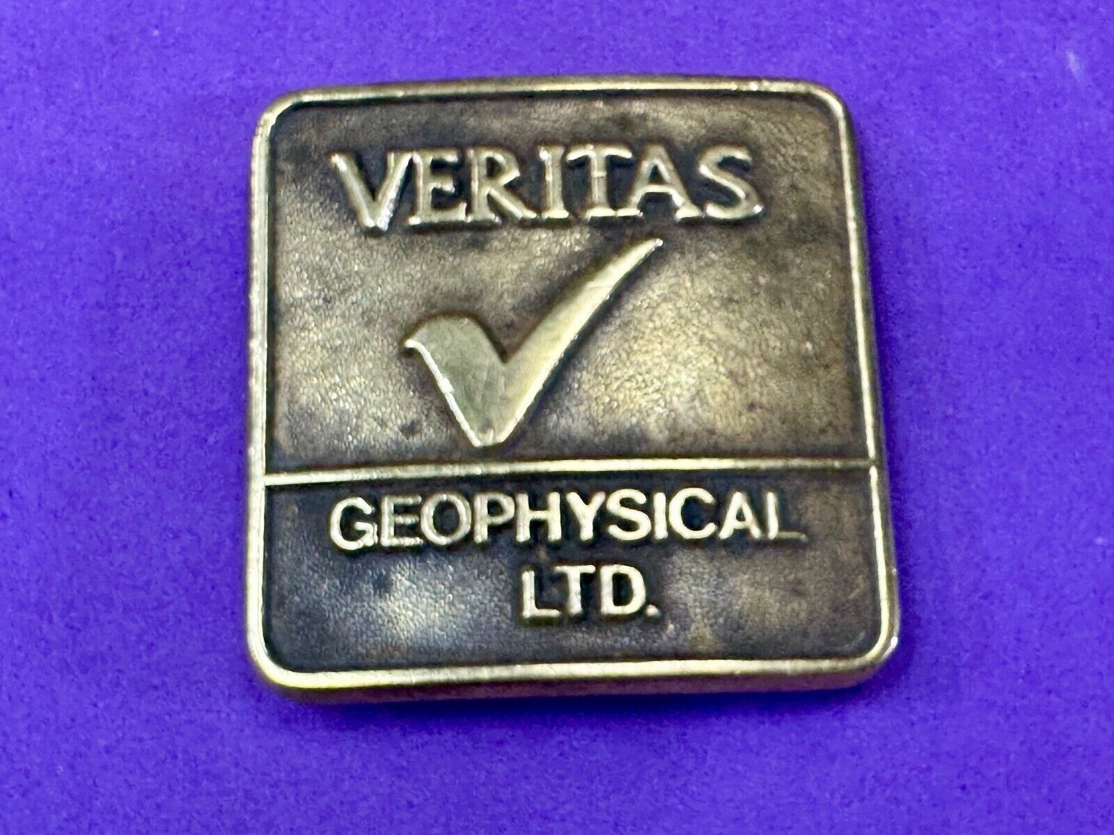 Veritas Geophysical Ltd CGG Alberta Canada vintage adverting belt buckle