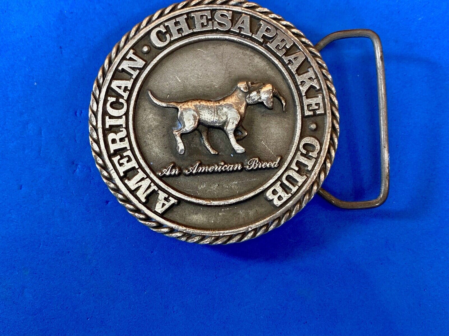 American Chesaphake Club, An American Breed Vtg 80'S Round Belt Buckle Sid Bell 