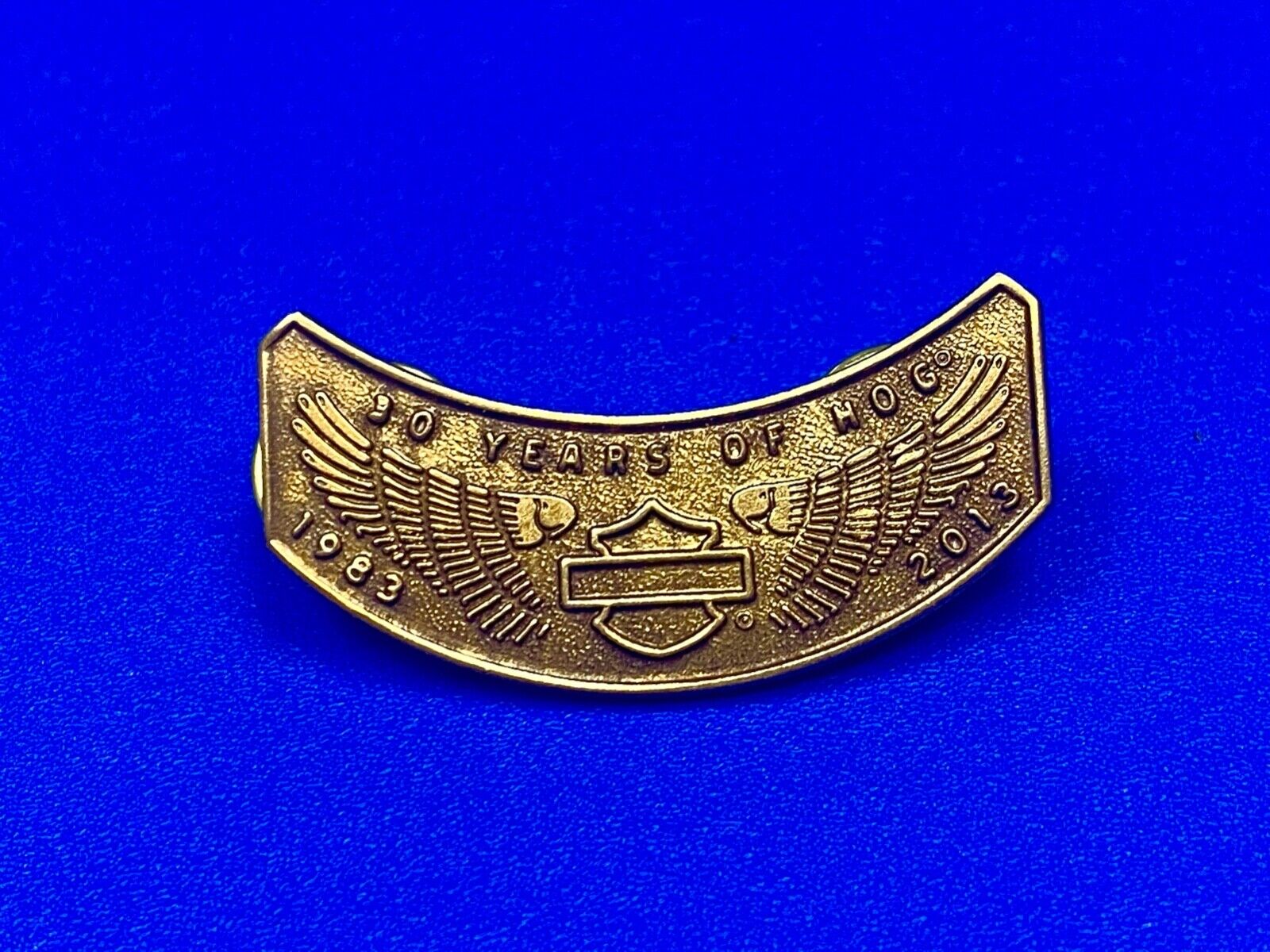 2013 Ten Years Of Hog Harley Davidson Owners Group Motorcycles Pin