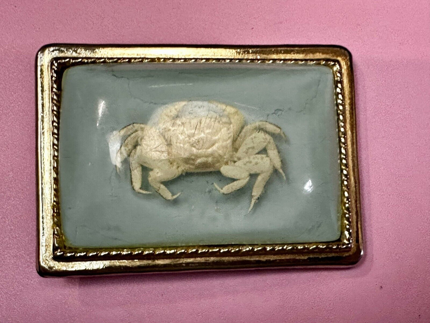 White Fiddler Crab Encased in Clear Enamel Vintage Gold tone Belt Buckle