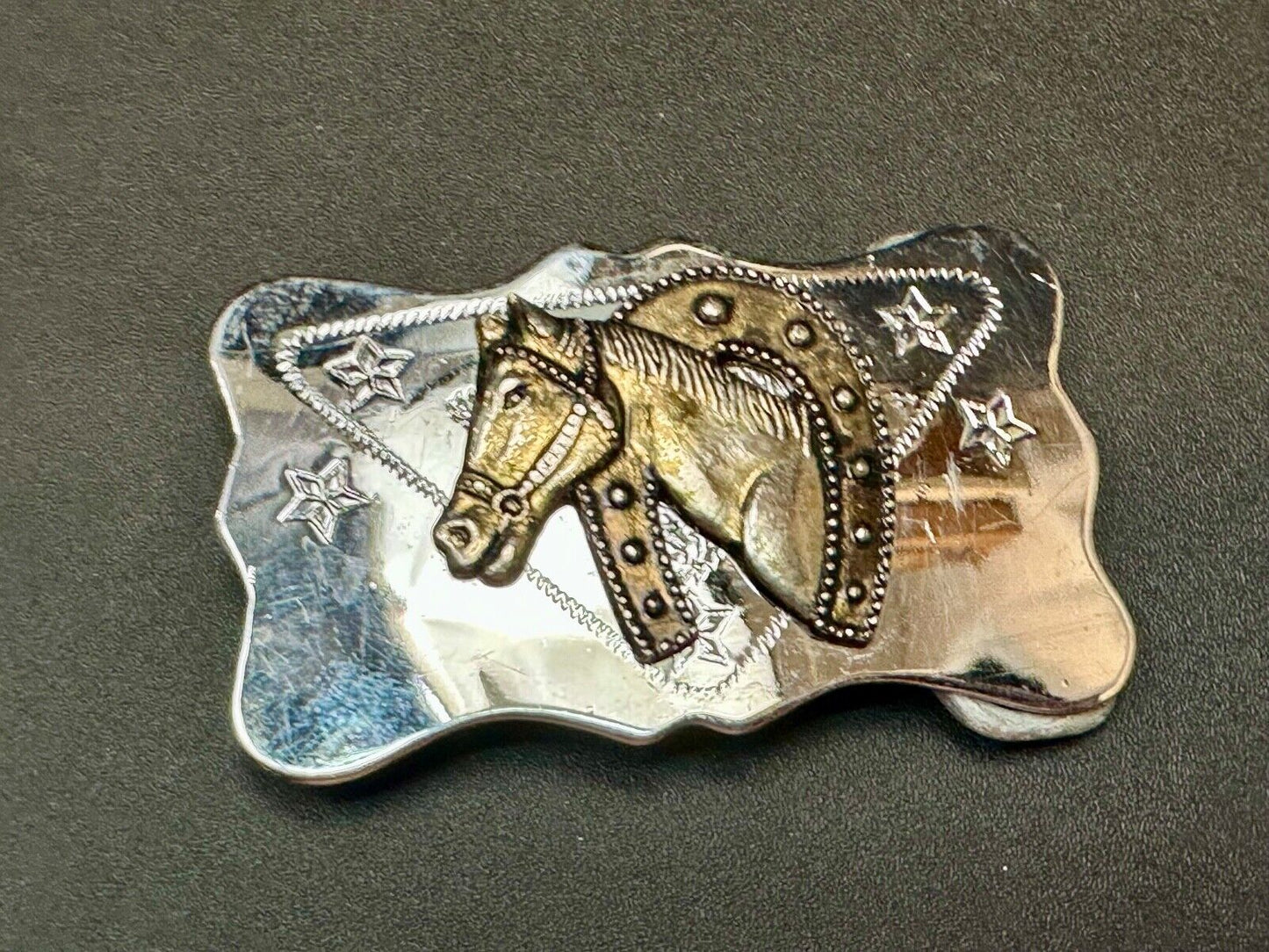 Vintage Horse head through horseshoe on reflective two tone belt buckle
