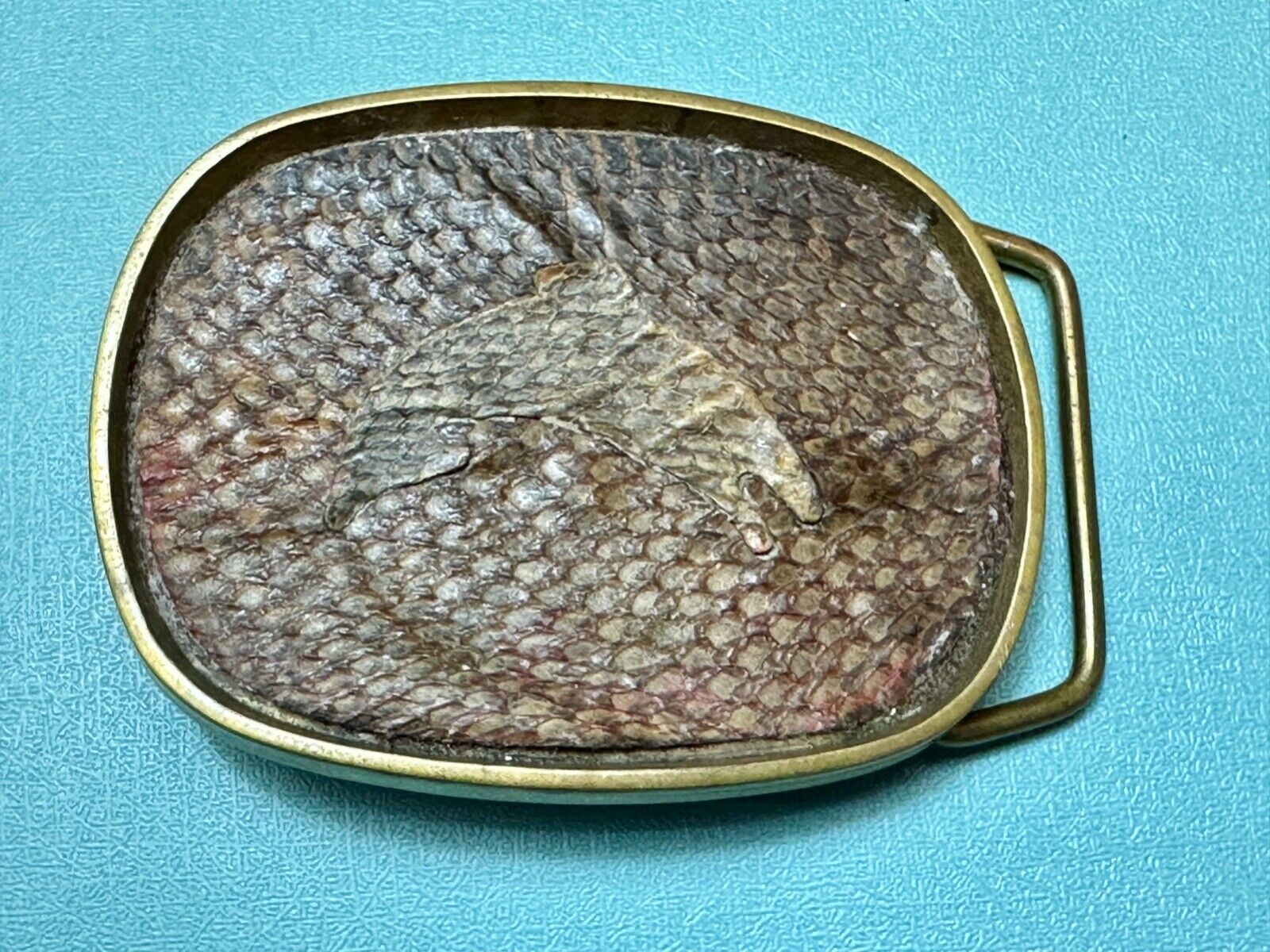 Artisan jumping fish on snake skin solid brass belt buckle