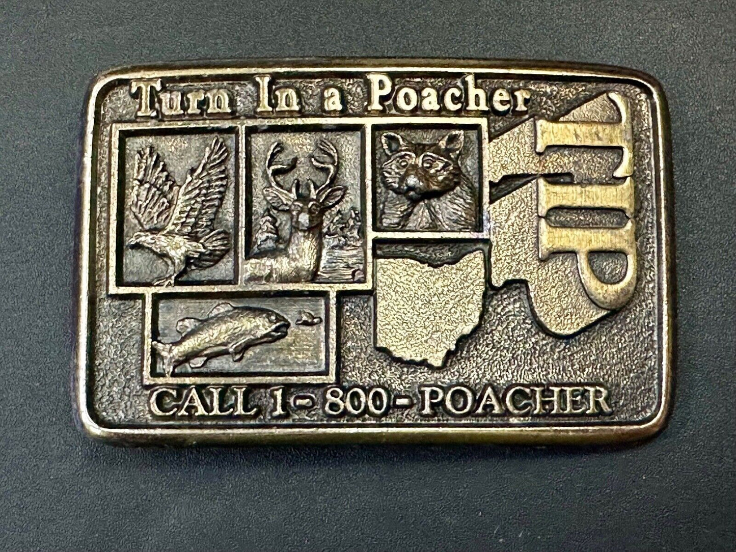Turn in a Poacher Enjoy wildlife tomorrow TIP line hunting RARE belt buckle