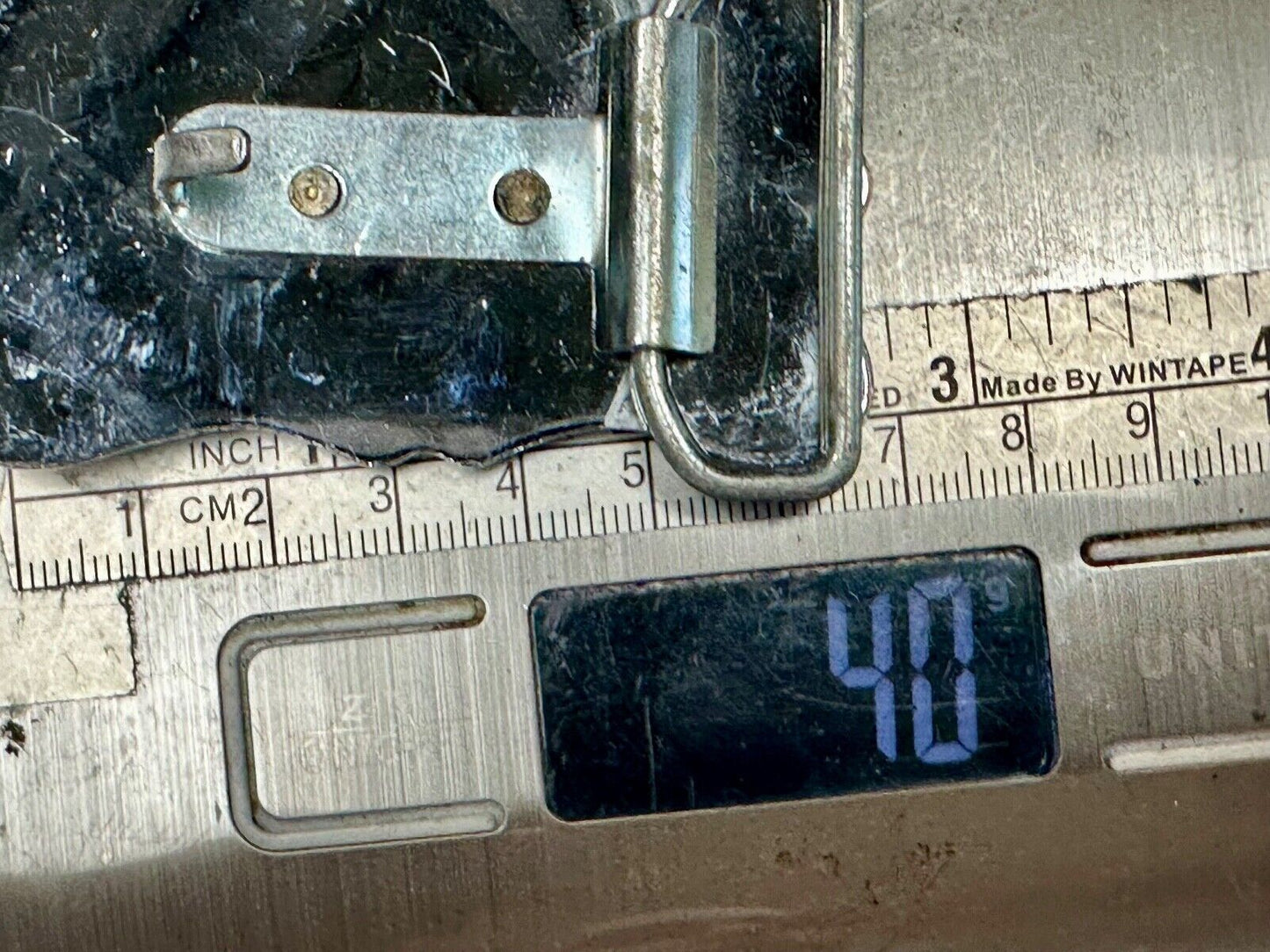 Vintage horse head through lucky horseshoe on reflective western belt buckle