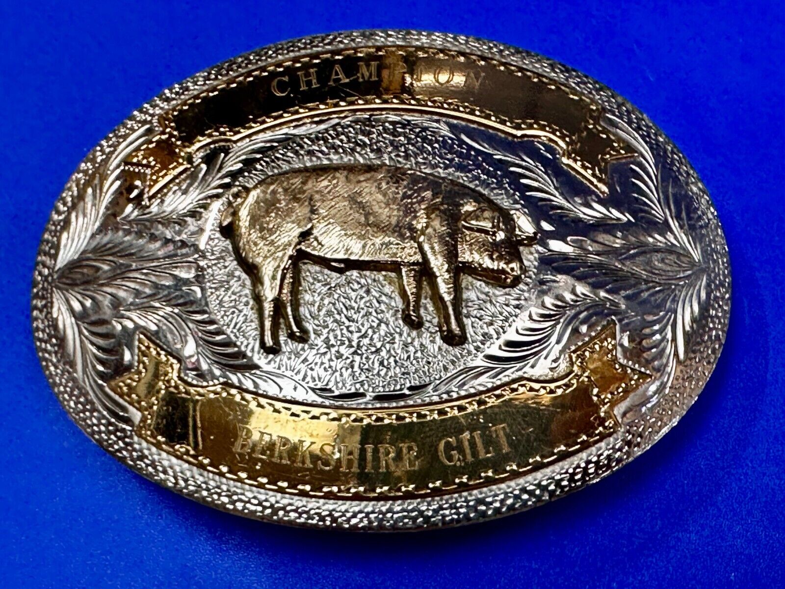 Berkshire Gilt Pig Breed Show Champion Ribbon Trophy Award Design Belt Buckle