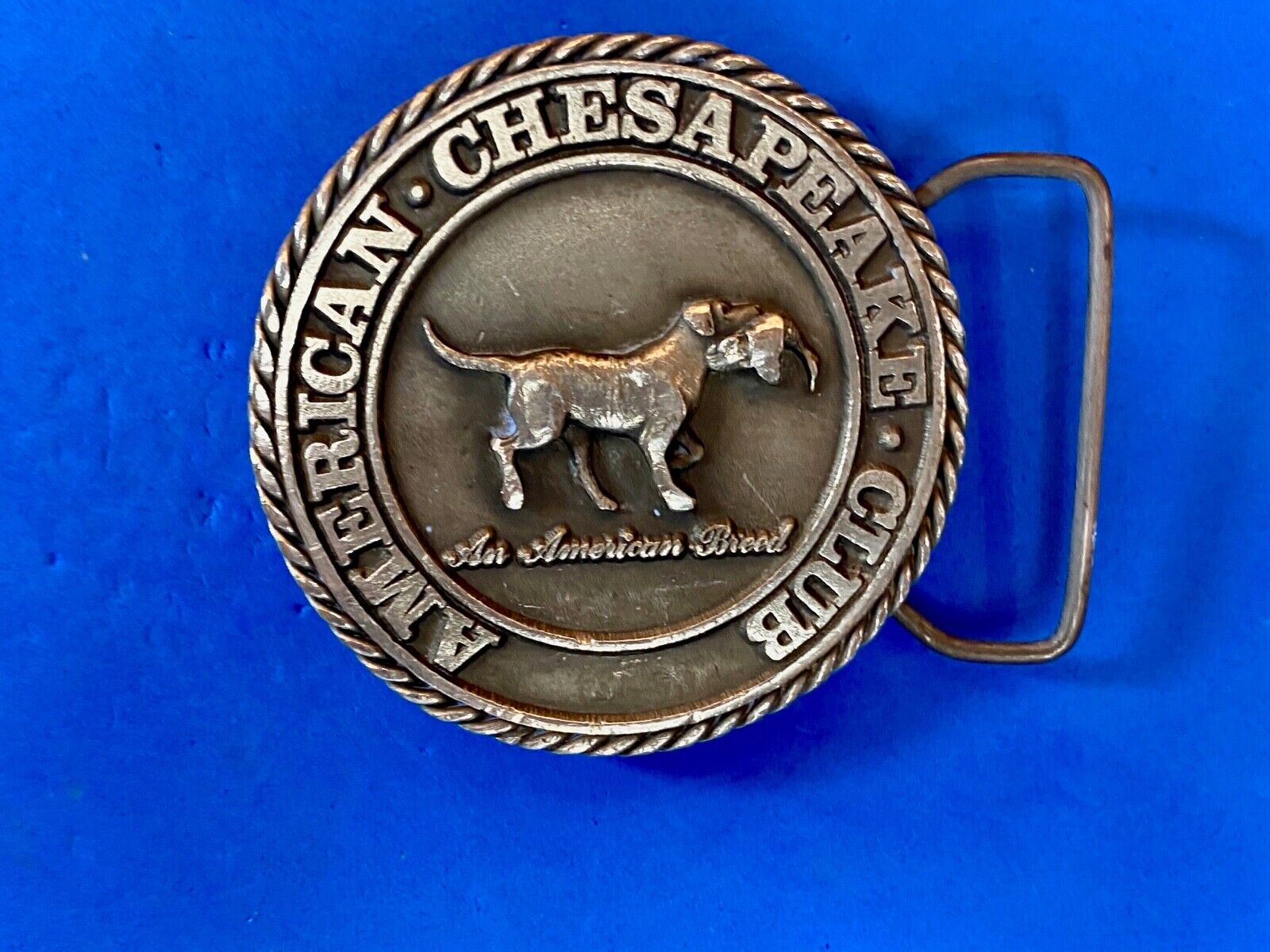 American Chesaphake Club, An American Breed Vtg 80'S Round Belt Buckle Sid Bell 