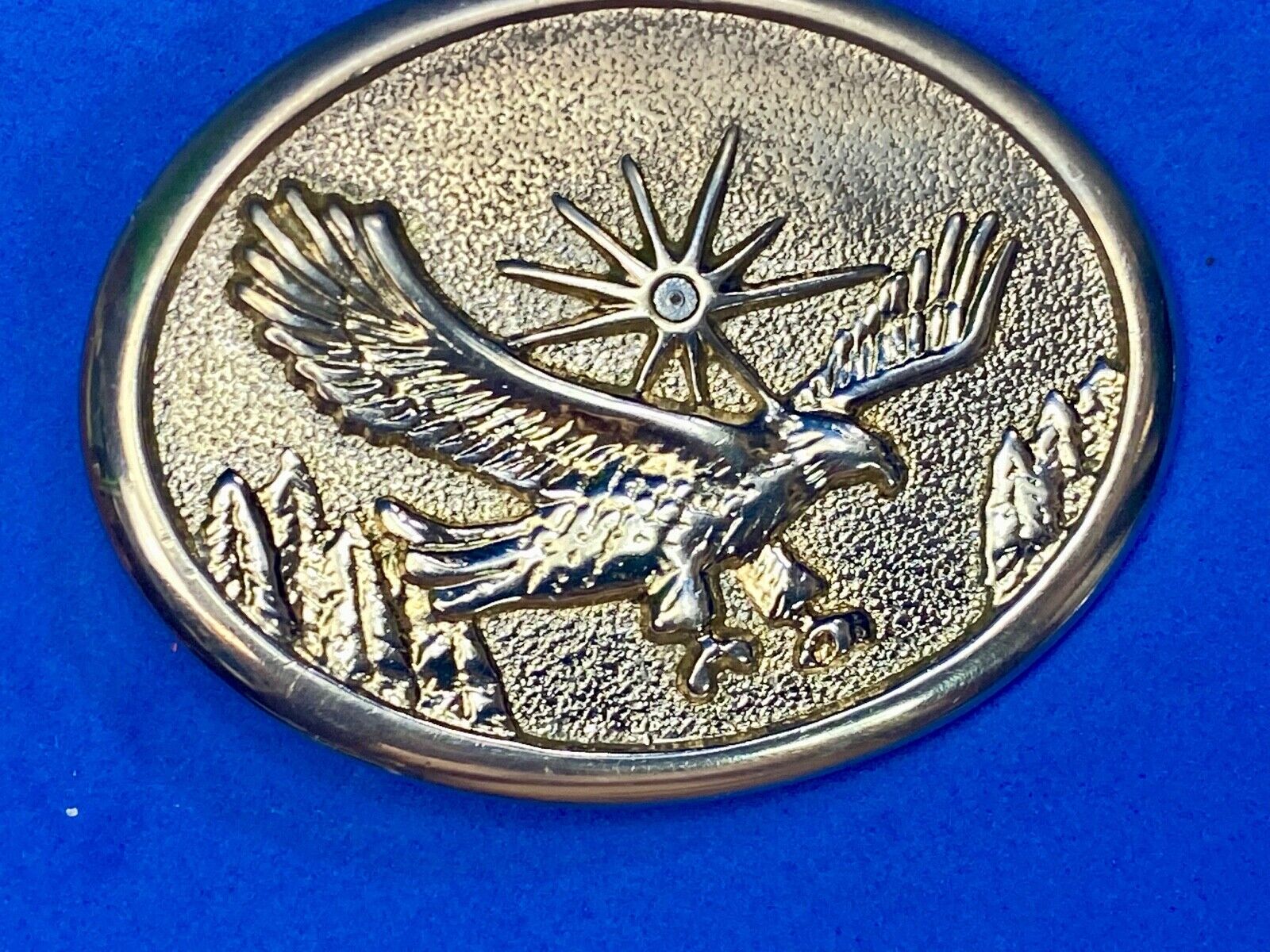 American Eagle Flying wings wide with star sun burst! USA belt buckle 