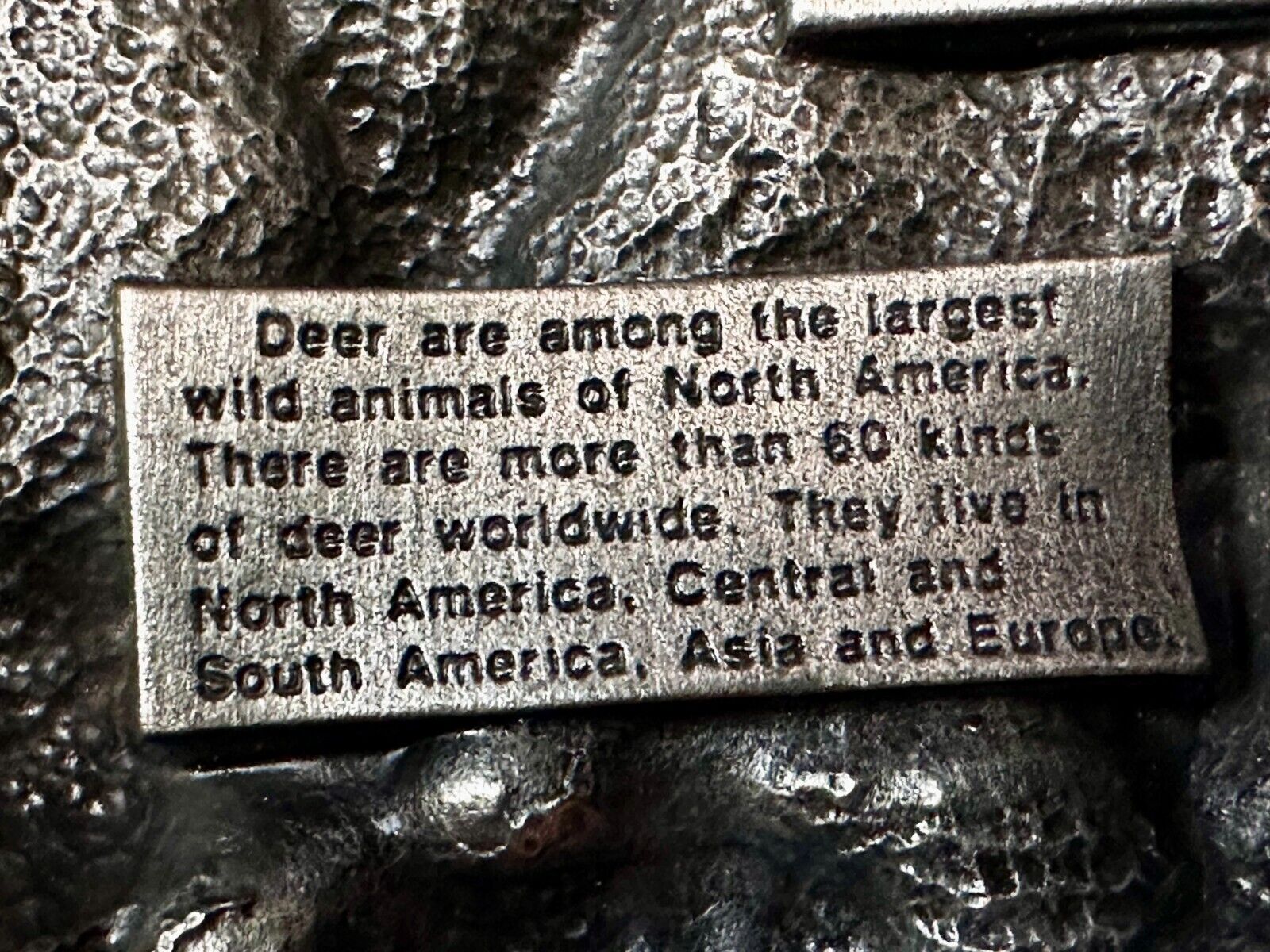 Belt Buckle Deer