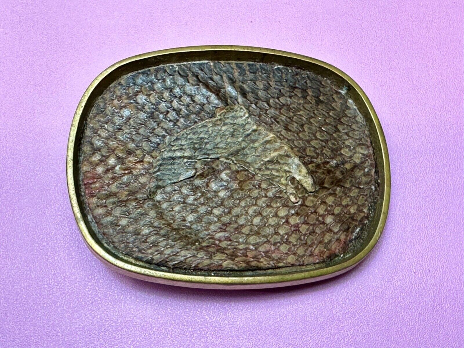 Artisan jumping fish on snake skin solid brass belt buckle
