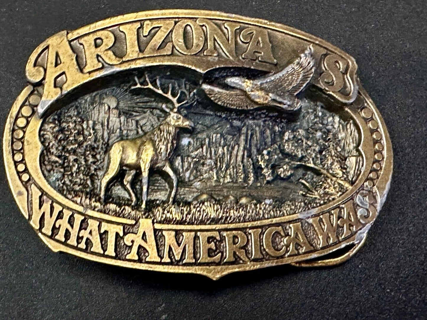 Arizona Is What America Was Wildlife Scenery 1989 The Great American Belt Buckle