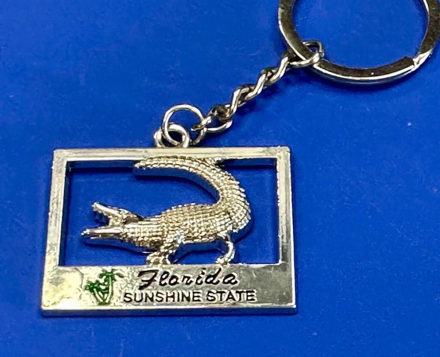 Alligator, Florida,  The Sunshine State souvenir Keychain - Key Ring Chain