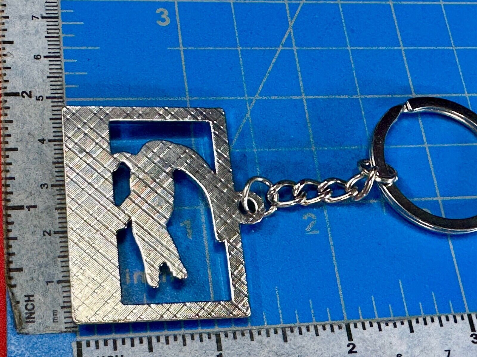 Alligator, Florida,  The Sunshine State souvenir Keychain - Key Ring Chain