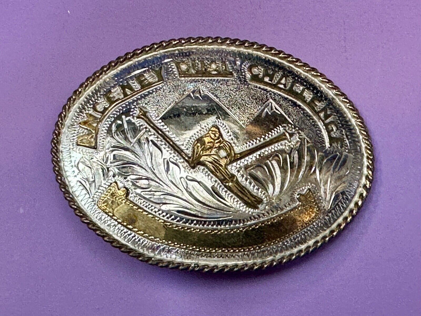 Amcemey Dual Challenge Downhill Ski Trophy Award Vintage Western Belt Buckle