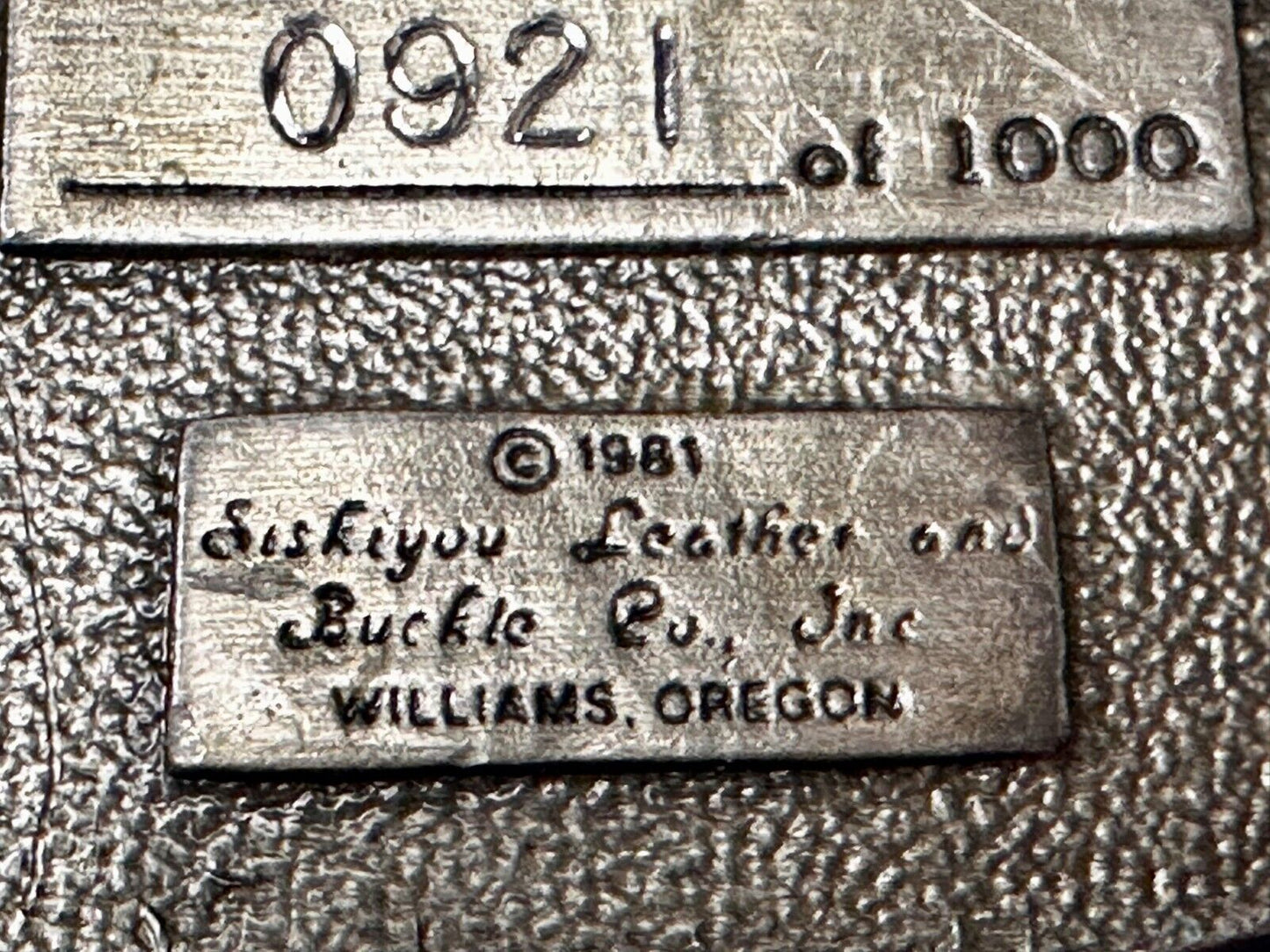 Mt. Hood River Valley Oregon Majestic Scenery Vtg 1981 Commemorative Belt Buckle