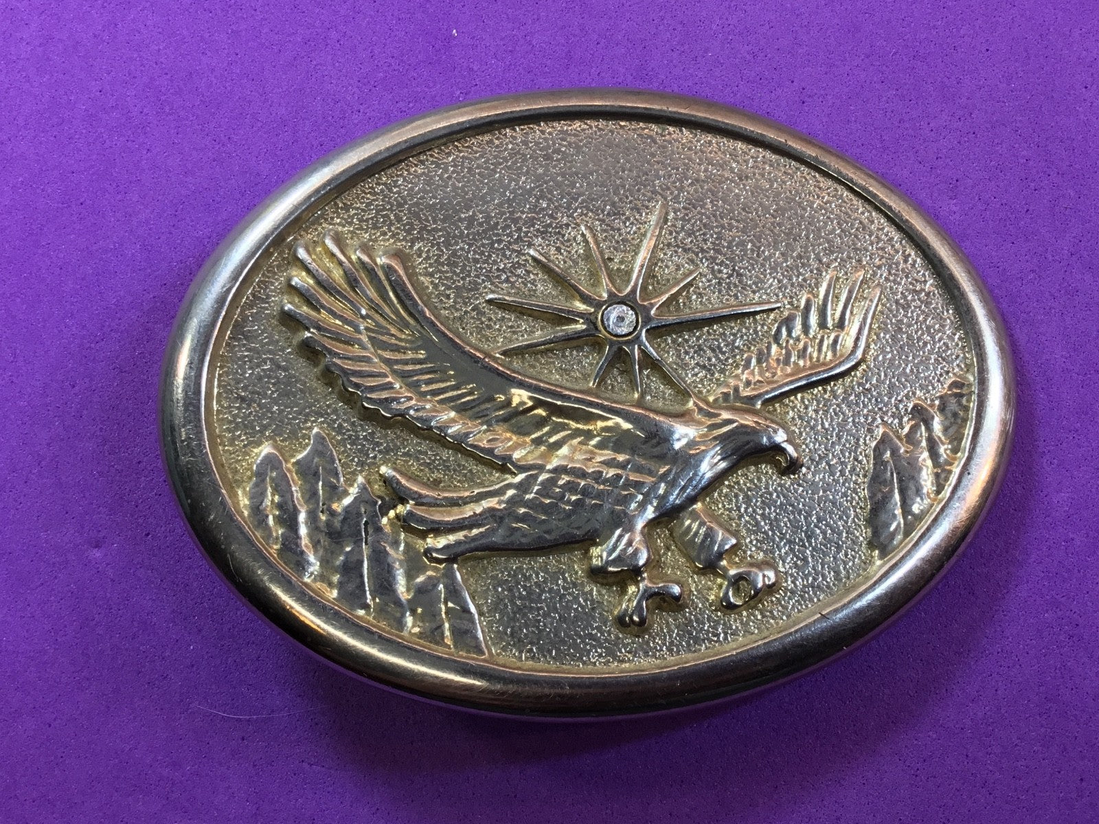  American Eagle over mountainside featuring Starburst Belt Buckle 
