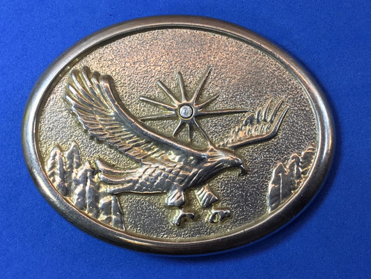  American Eagle over mountainside featuring Starburst Belt Buckle 