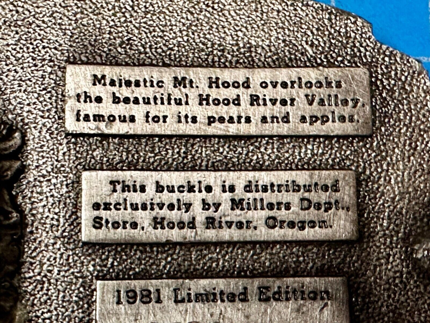 Majestic Mt. Hood River Valley Oregon Scenery Vtg 1981 Commemorative Belt Buckle