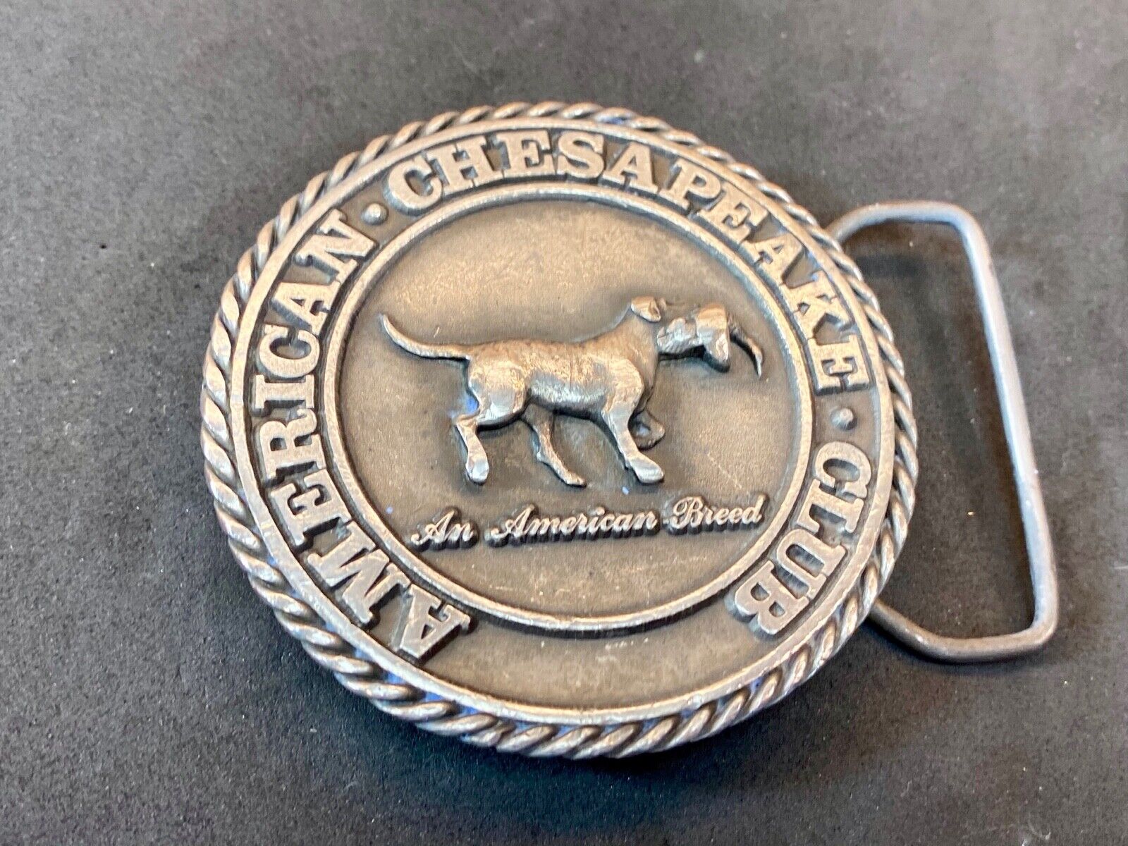 American Chesaphake Club, An American Breed Vtg 80'S Round Belt Buckle Sid Bell 