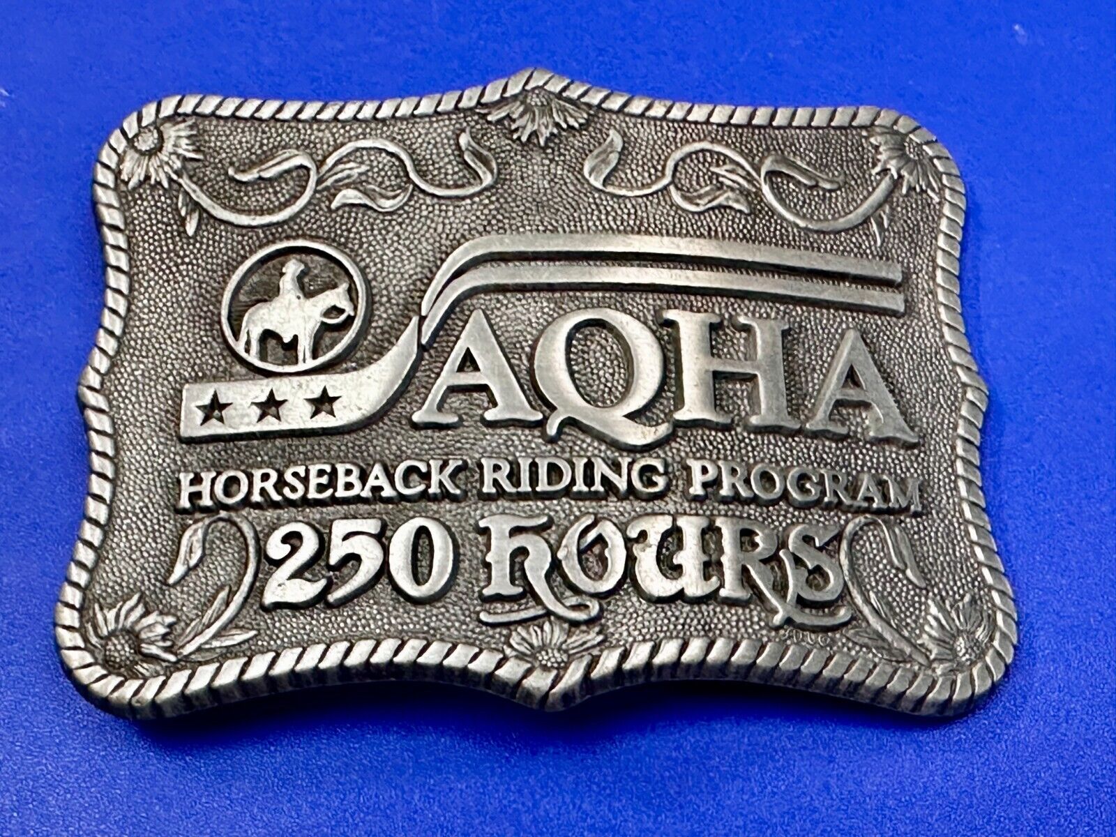 AQHA Horseback Riding Program 250 hours Award Belt Buckle by Quarterhorse