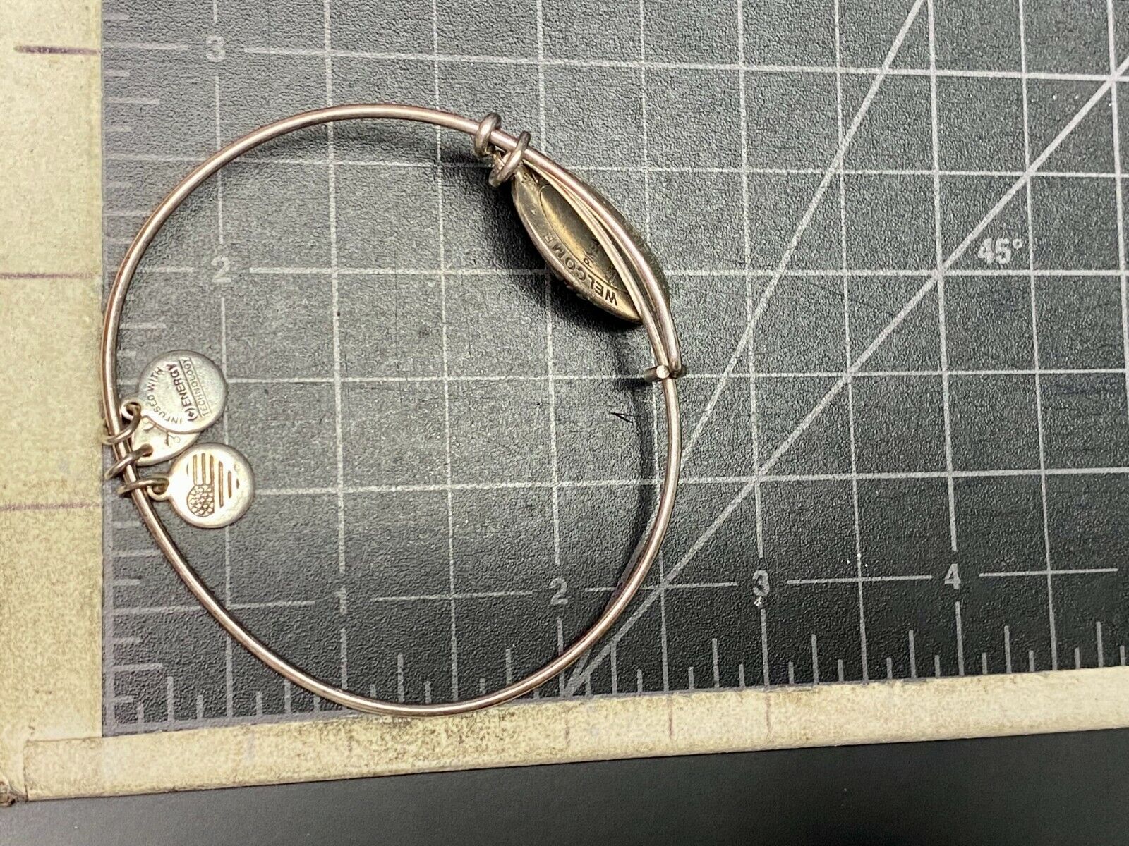 Alex And Ani Pineapple 2016 Charm Bracelet Bangle Warmth Welcome Friendship