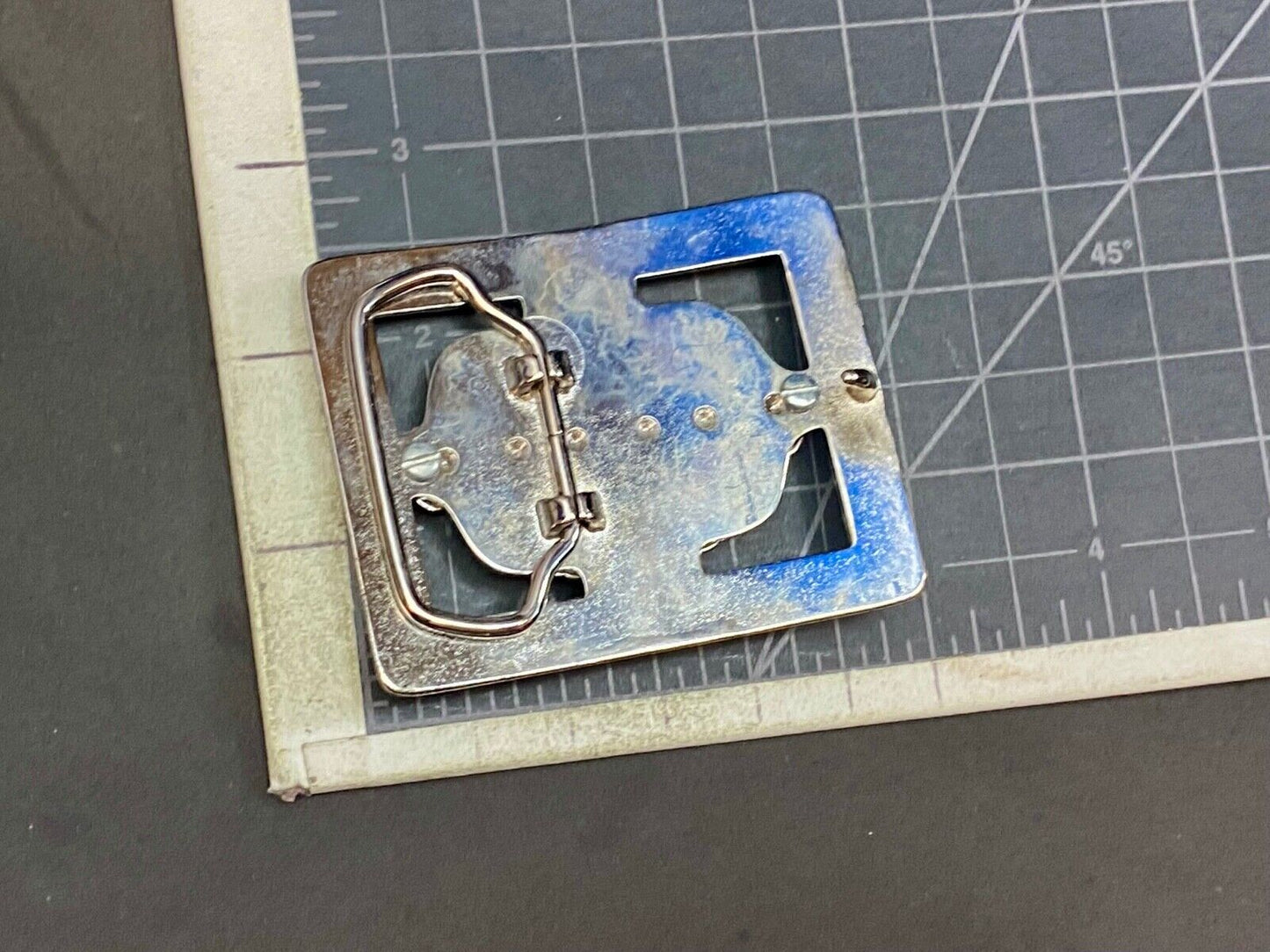 Alligator, Lizard, Reptile Crocodile?  As Centerpiece On See Through Belt Buckle