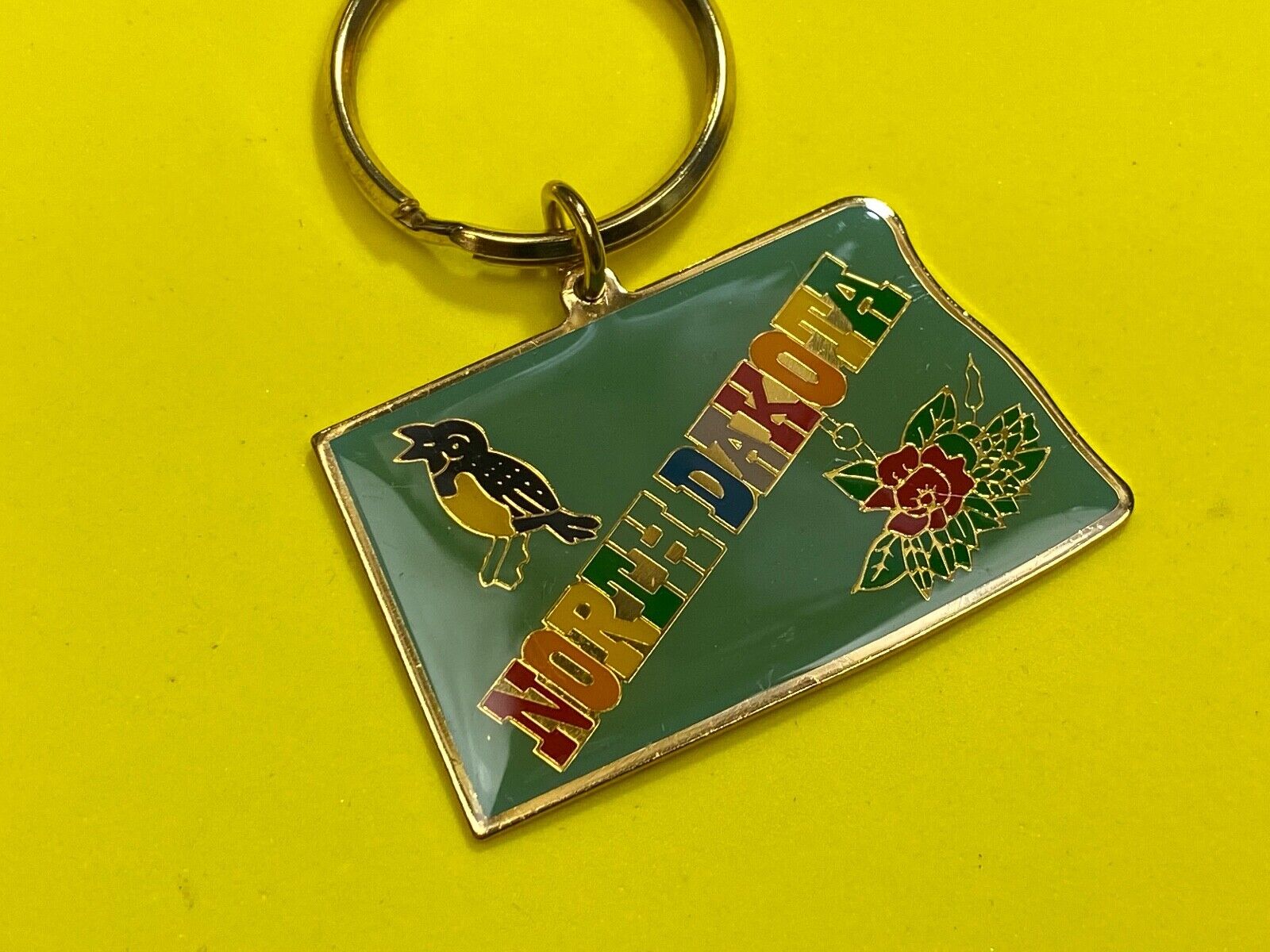 10 LOT North Dakota Souvenir Keychain -Key Ring Chain Resale Pack wholesale pack