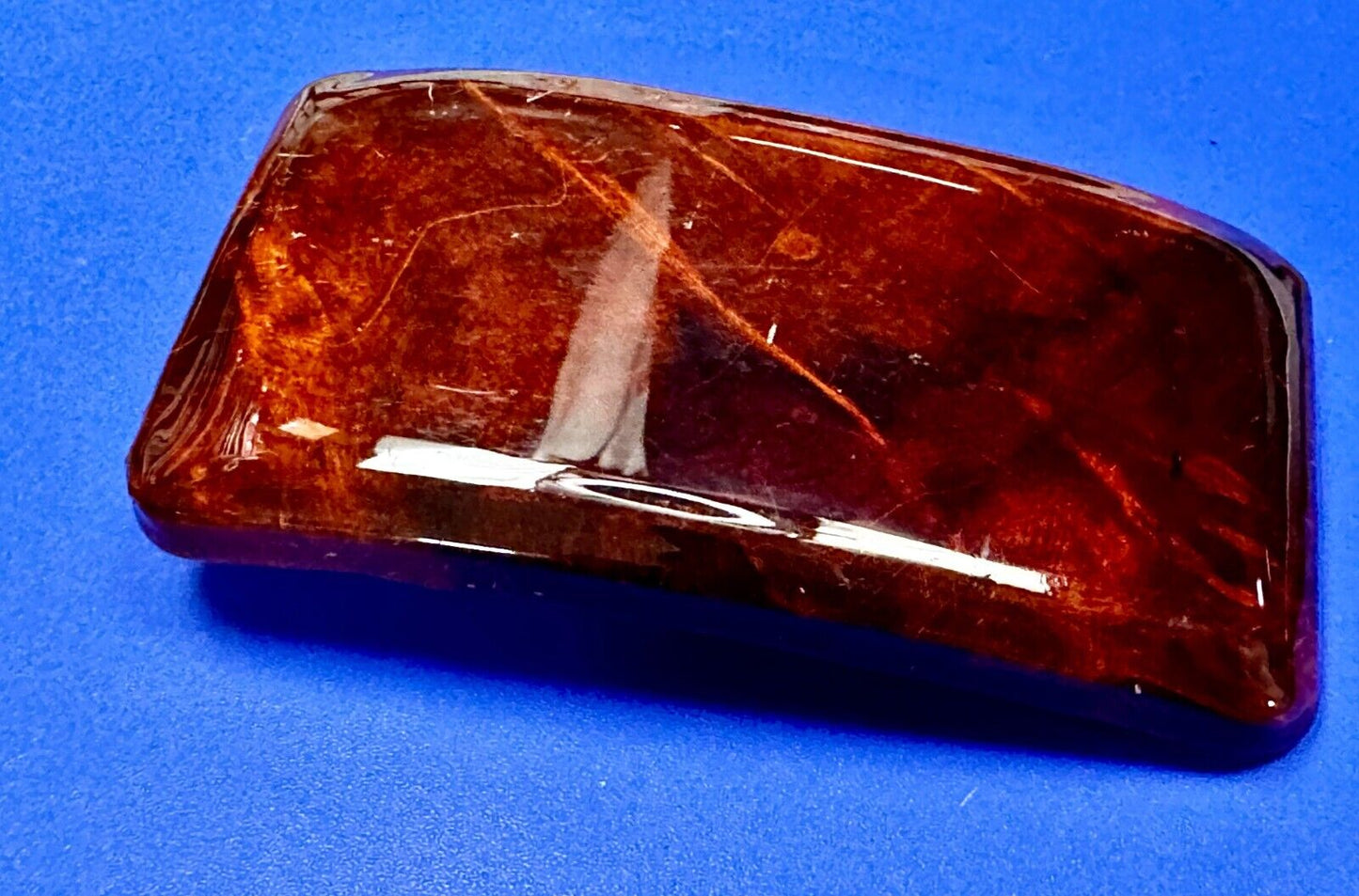 Vintage Glossy Polished Lacquered Wood Belt Buckle By Burl Wood West