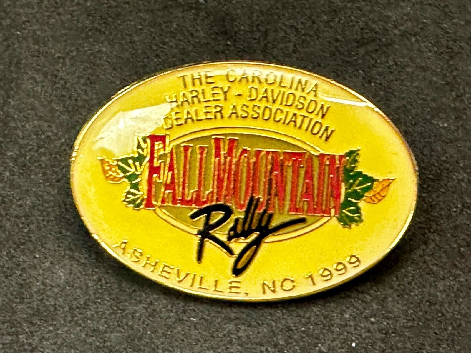 The Carolina Harley Davidson Dealers Association Falls Mountain 1999 Pin
