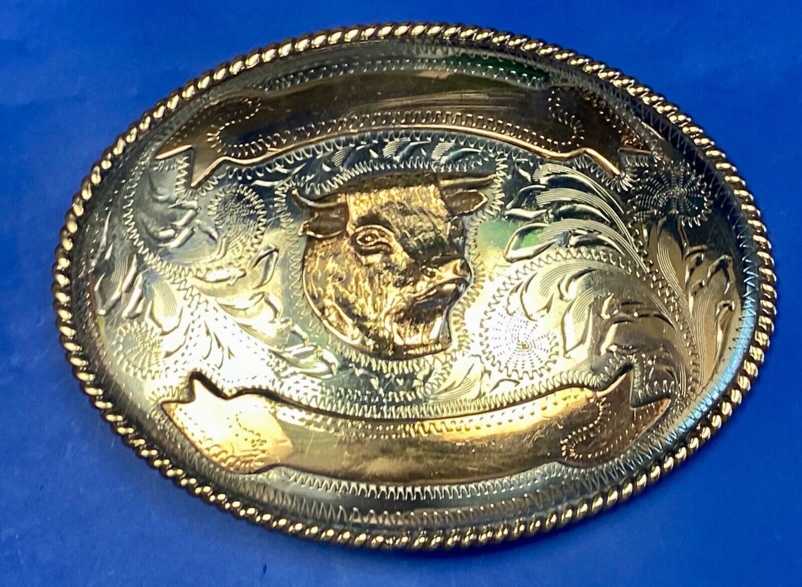 Unique Cow Steer Head Cow Trophy Award Stamped Alpaca Mexico W/ Blank Scroll